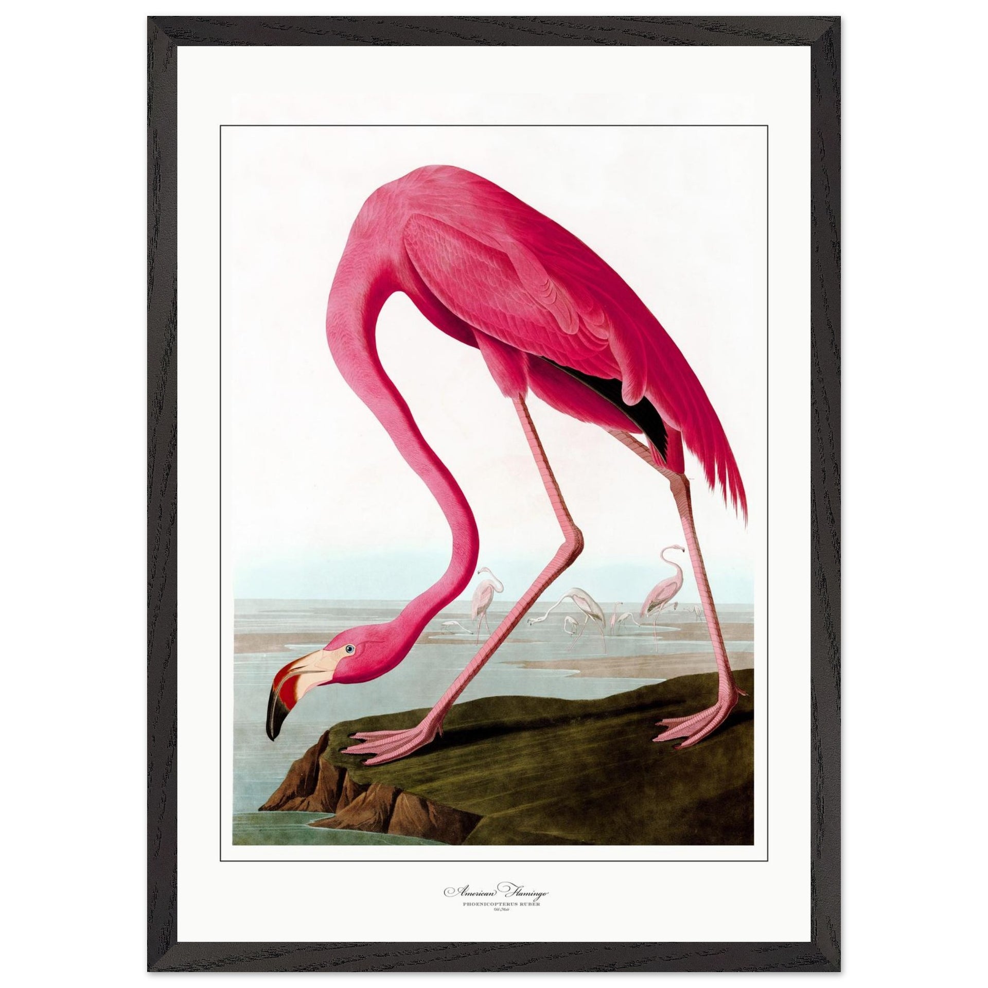 a356098f-ae0d-4958-b074-9c325045ffe0