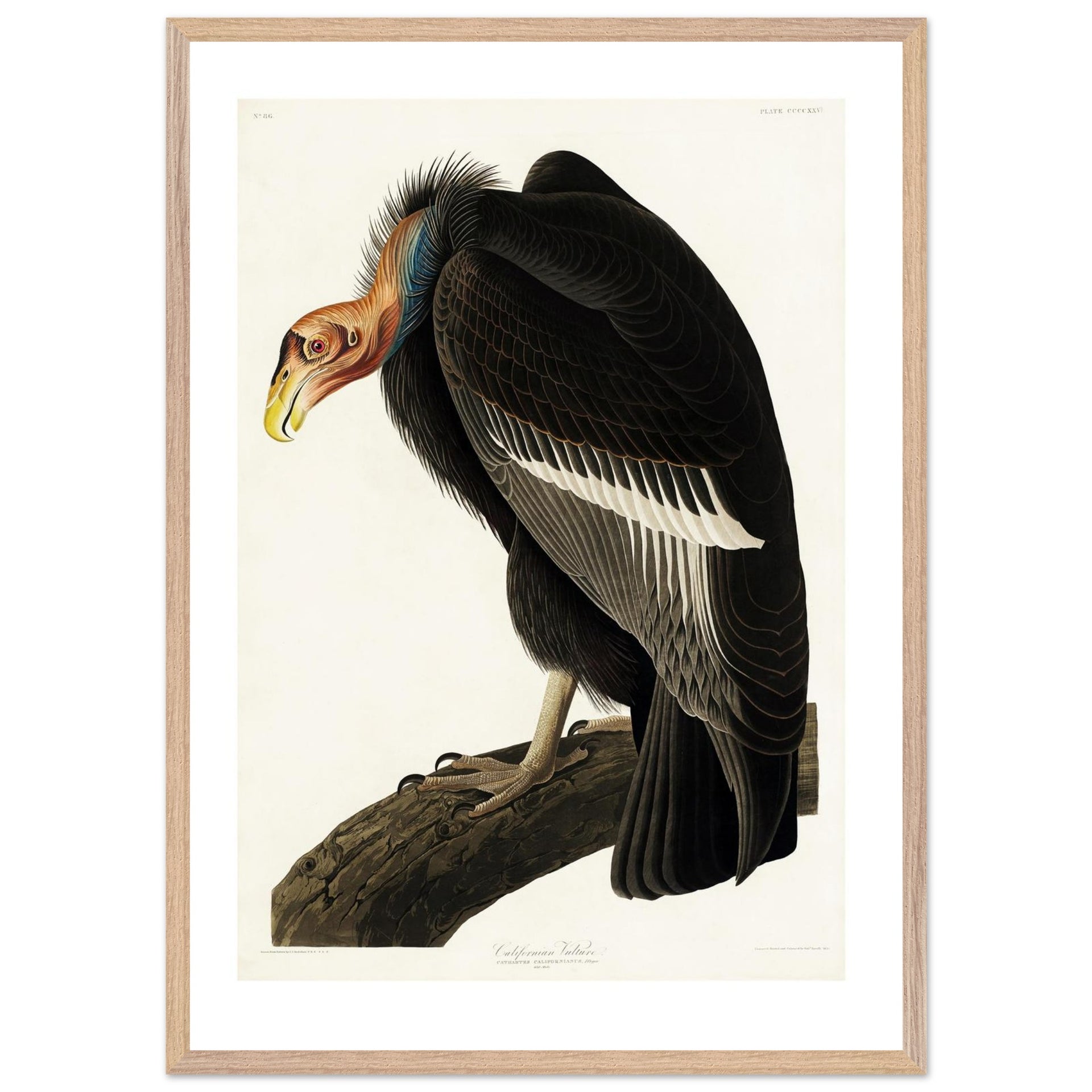 a3d1fbe2-d824-42dd-9c93-42ebc2c2b805