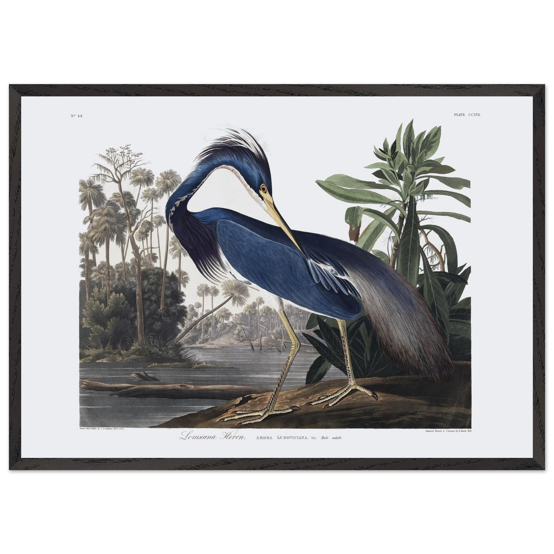 a56c9adb-4936-4e21-9dec-427a3ad5e3e4