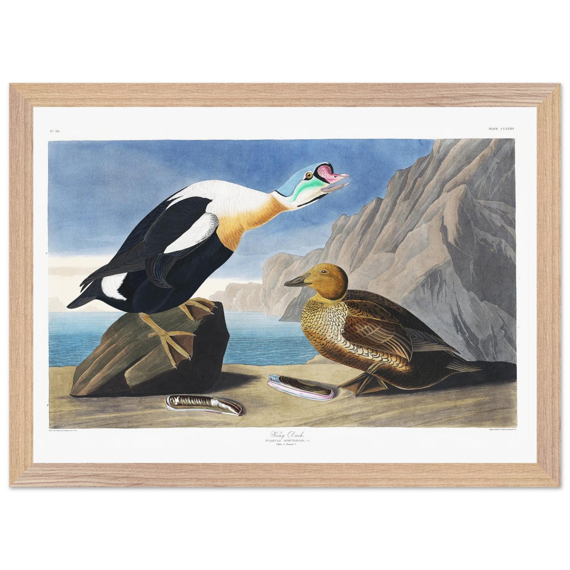 a56f745c-97be-4f62-a403-c9e8a9616976