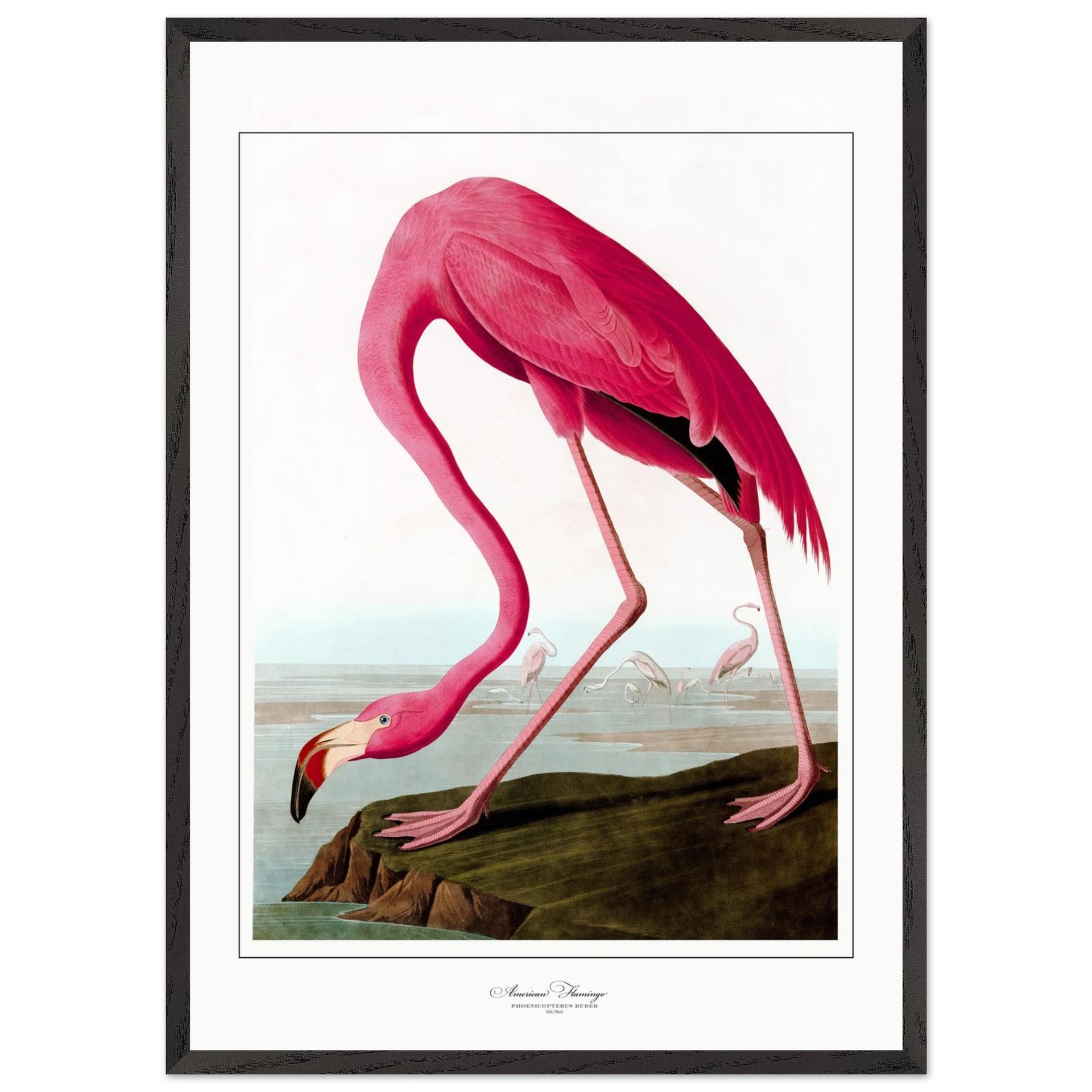 a802c808-9339-4d94-8e70-08d2b6b522e8