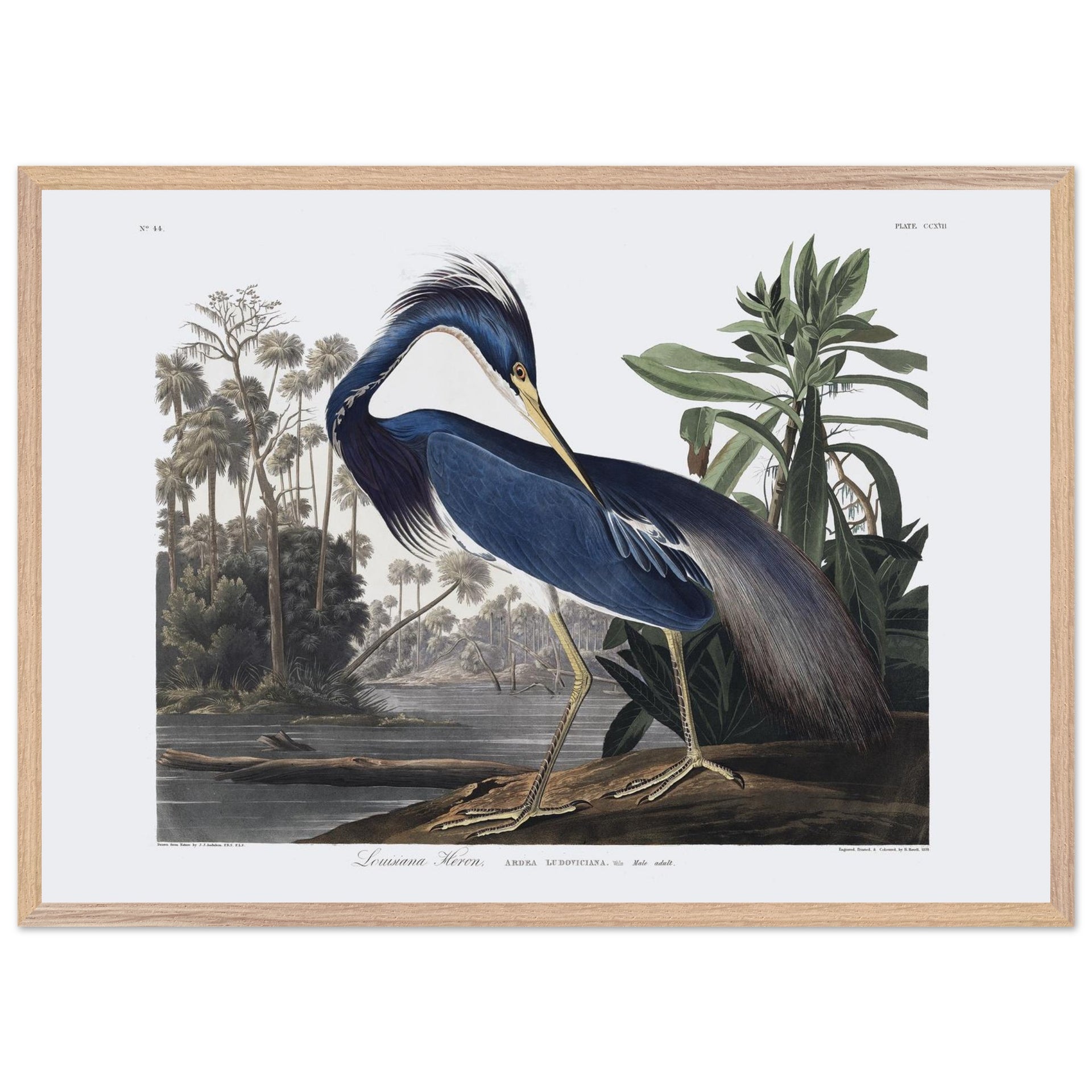 a9568812-0fb1-414d-8b1d-460ce0d8cc86