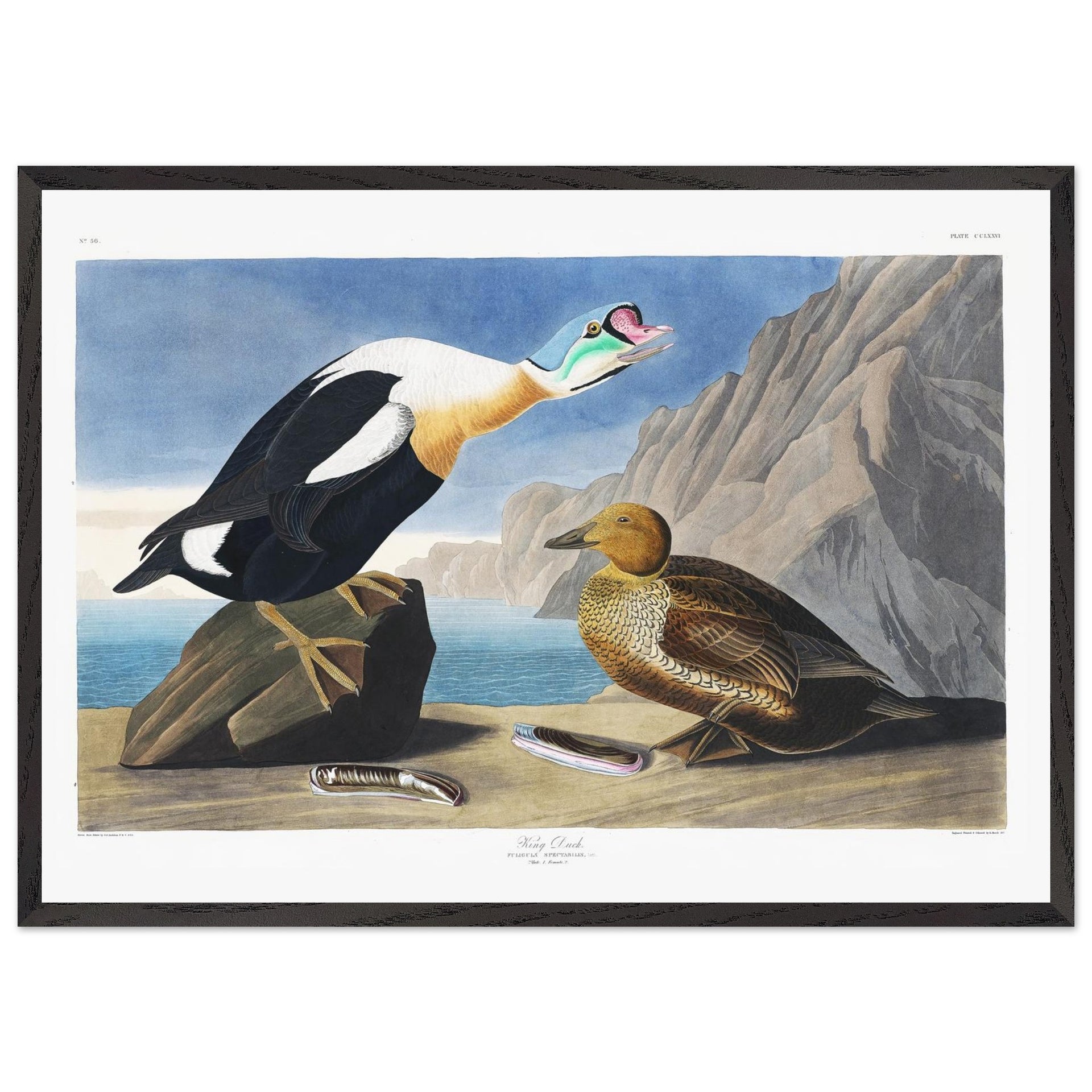 a9ba4937-8e65-4999-9e3f-33fc7518107e