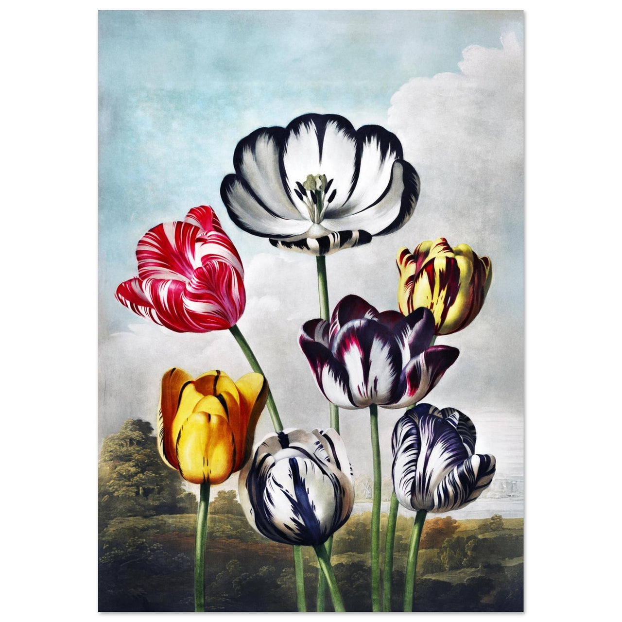 aa8e8fbb-ddc9-4d55-b320-27a1b4fc2770