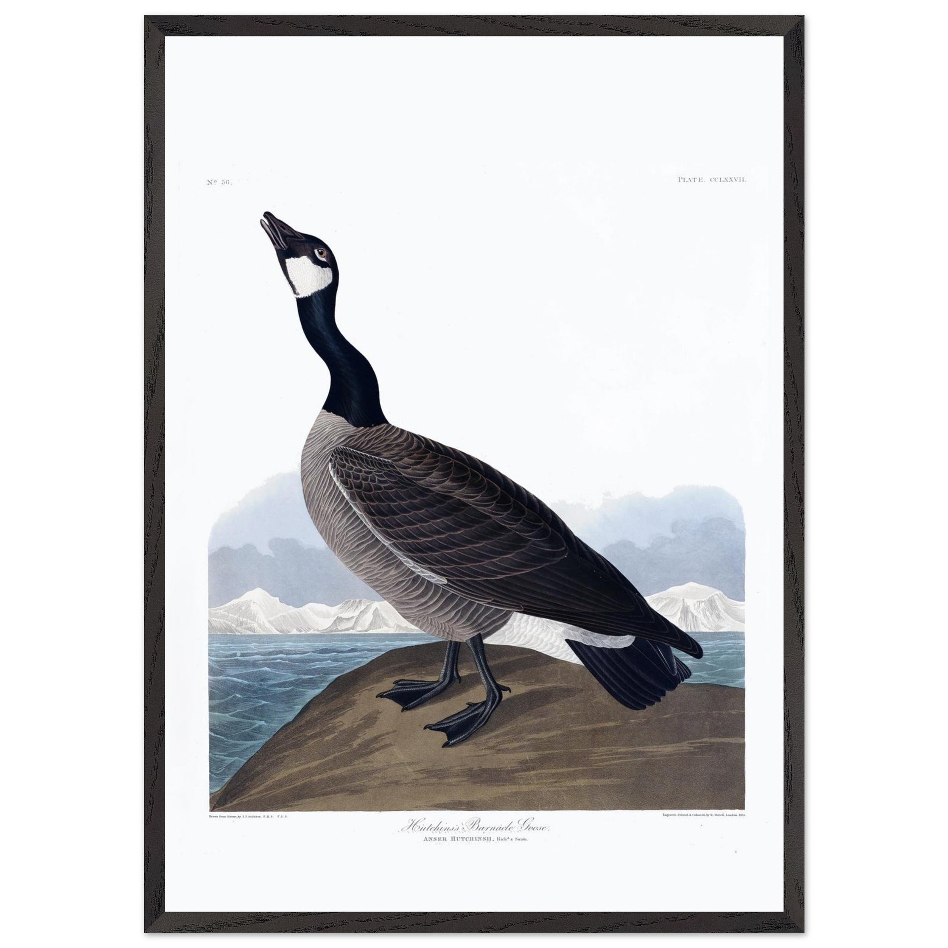 af11478f-ad57-4990-bf6c-bac1cca7cb9f