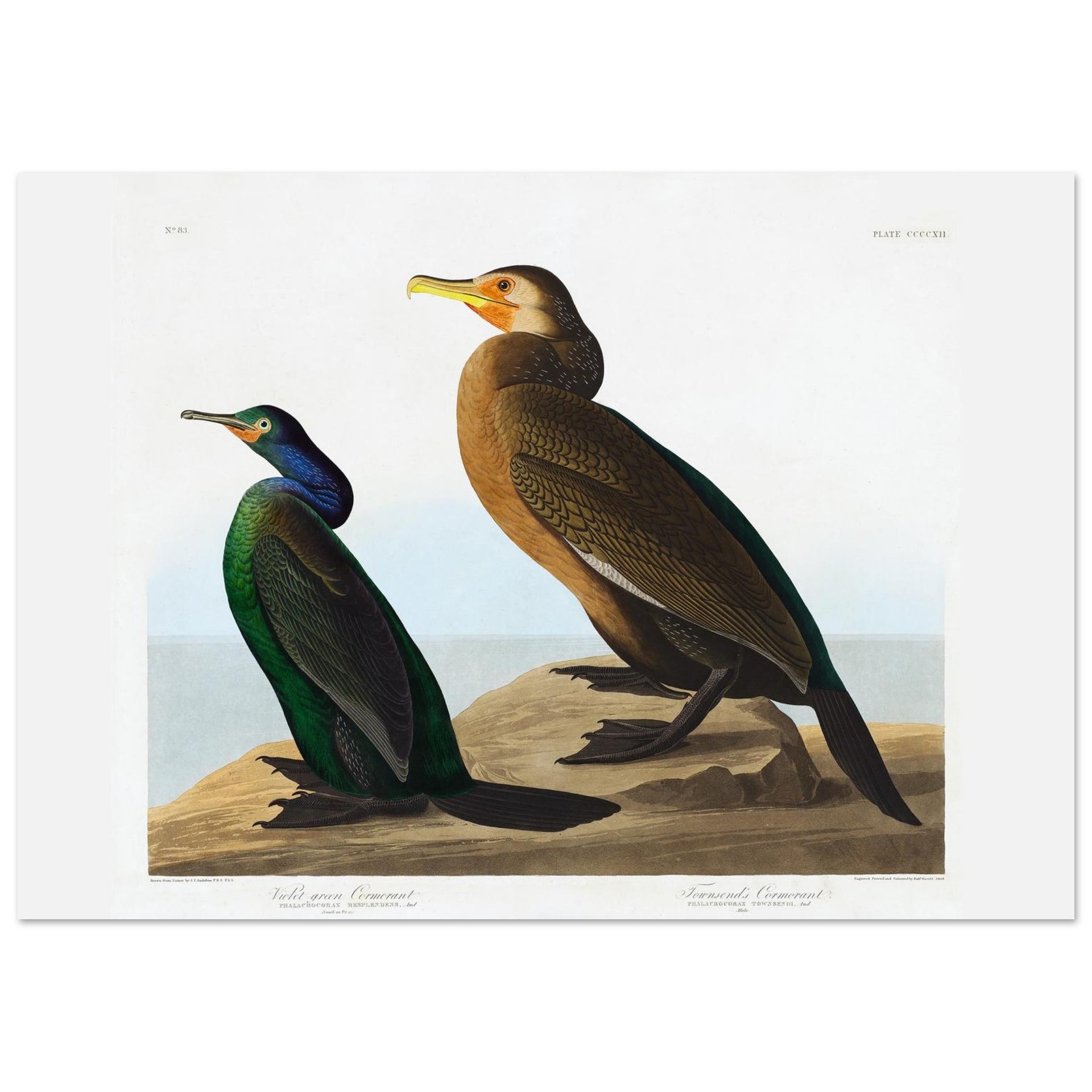 b03c6a06-4a9d-4044-8fee-53908421461f