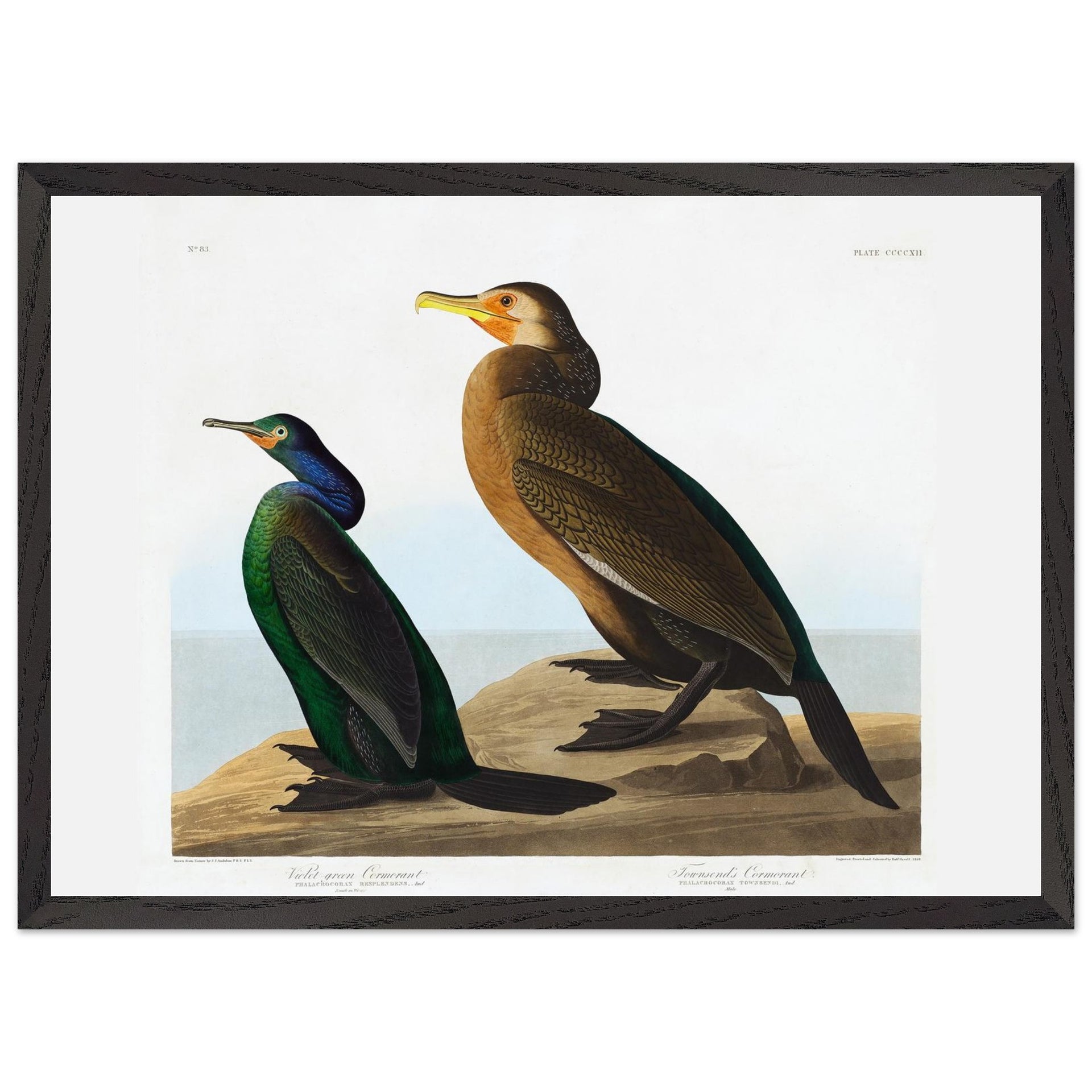 b12f54dd-fa03-4af7-91cb-a1d9f2f6a58f