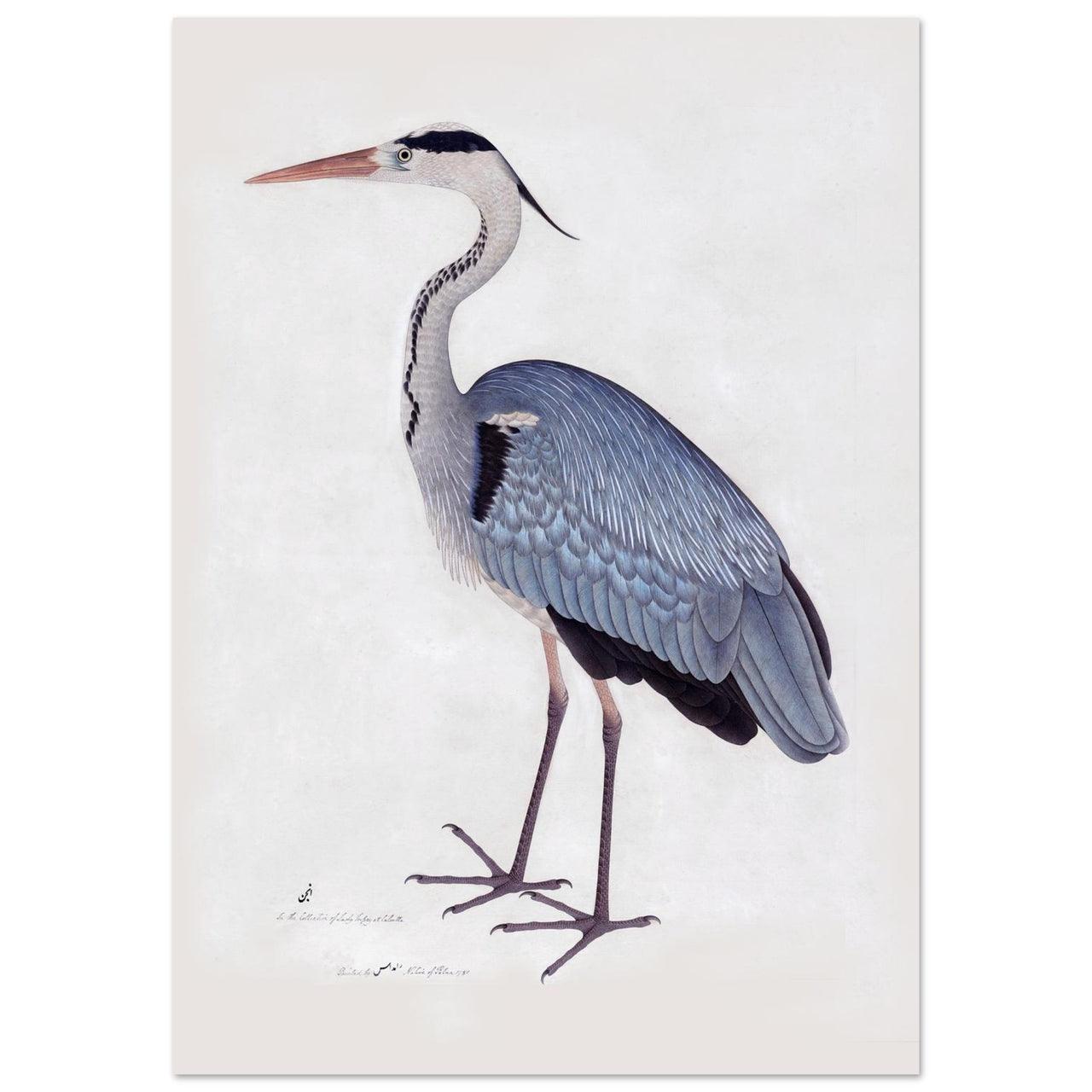 b2ea0e94-517d-4a19-b8d6-3cb93e0d1eb8