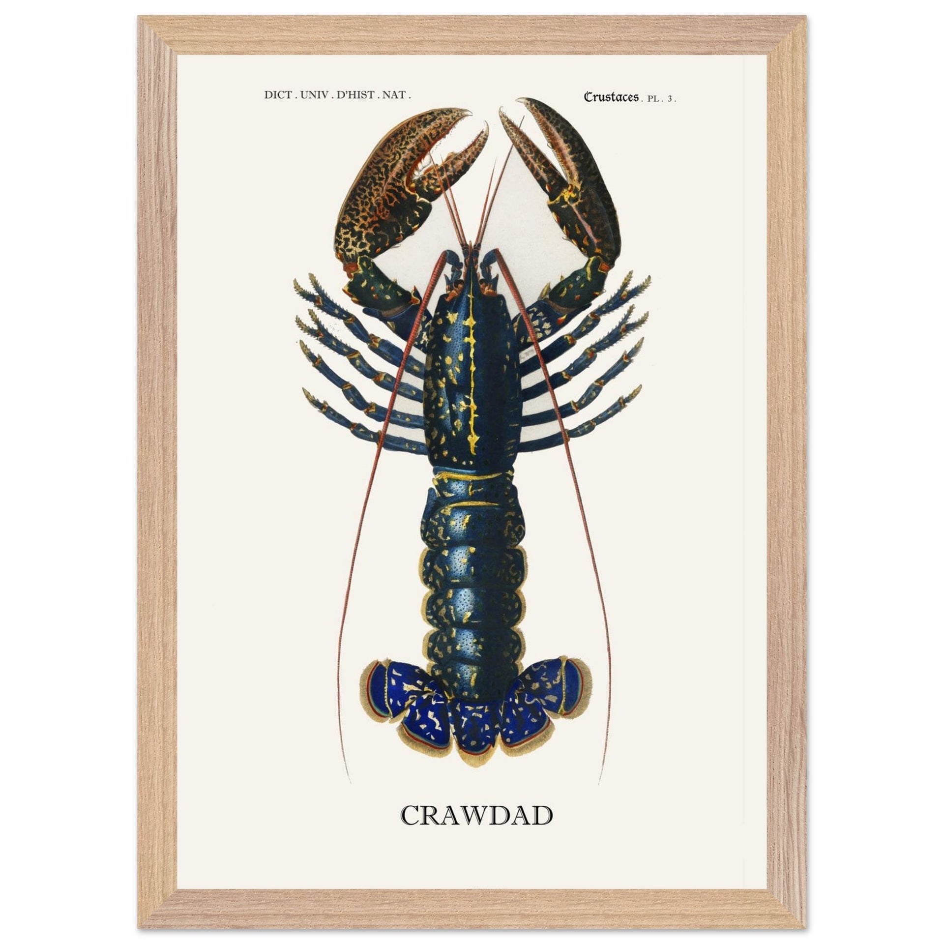 b61291ca-2f47-4a7c-9256-a778f6b2d87b