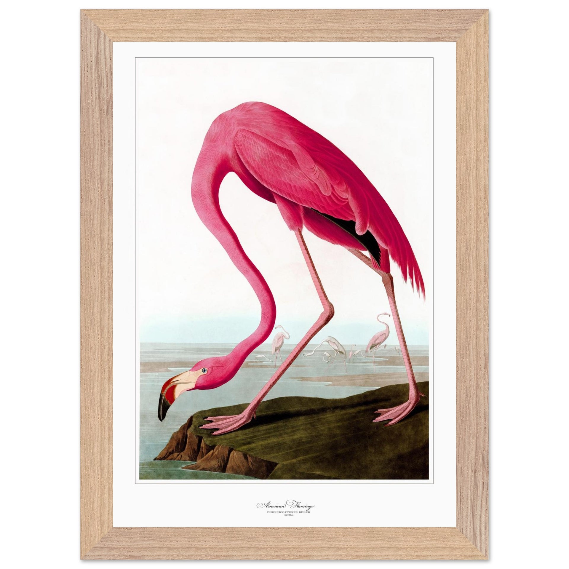 b76f768d-eb37-4a89-b17e-2301f356e3ab