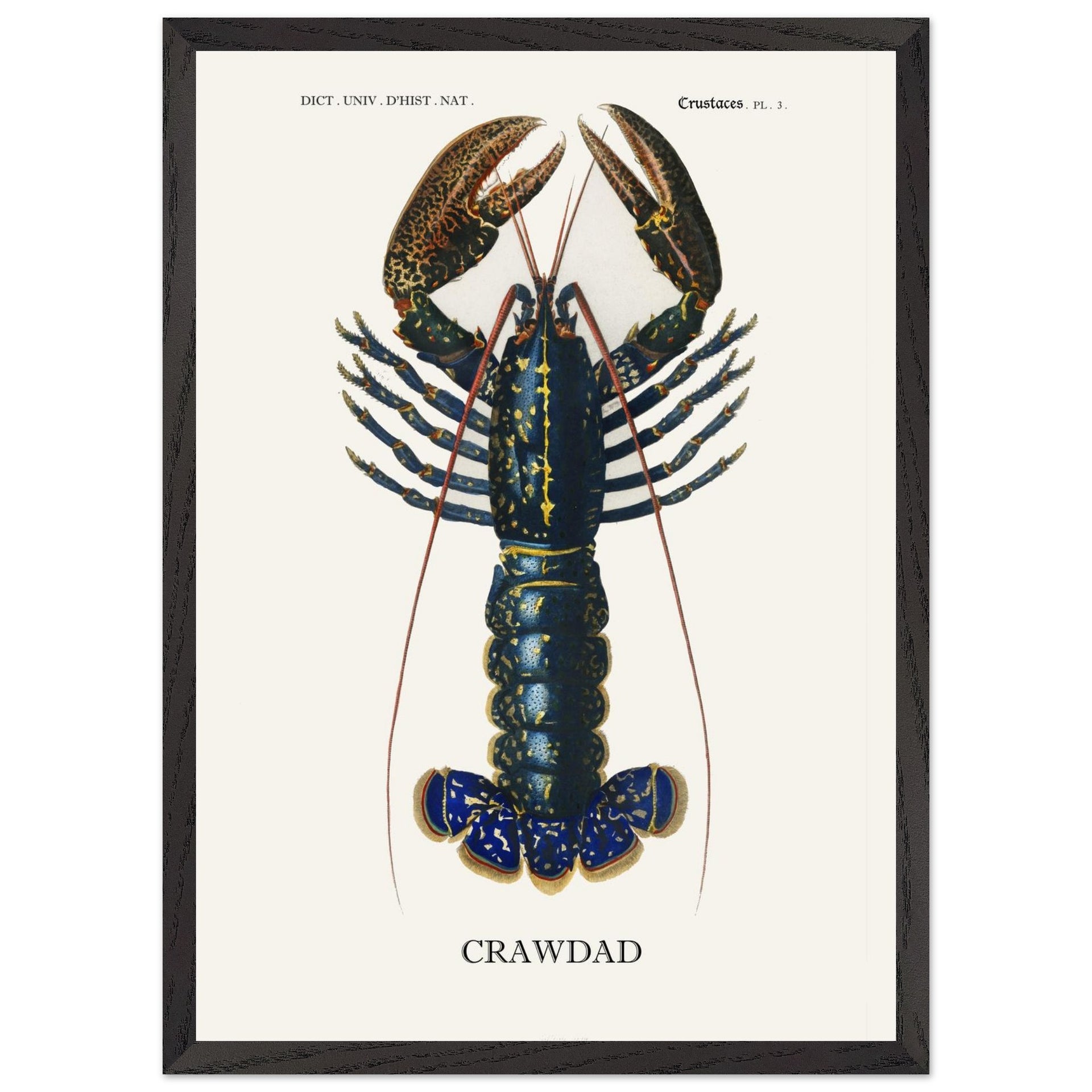 b7b54871-c76a-4cc8-9f2b-1006c4fcf094