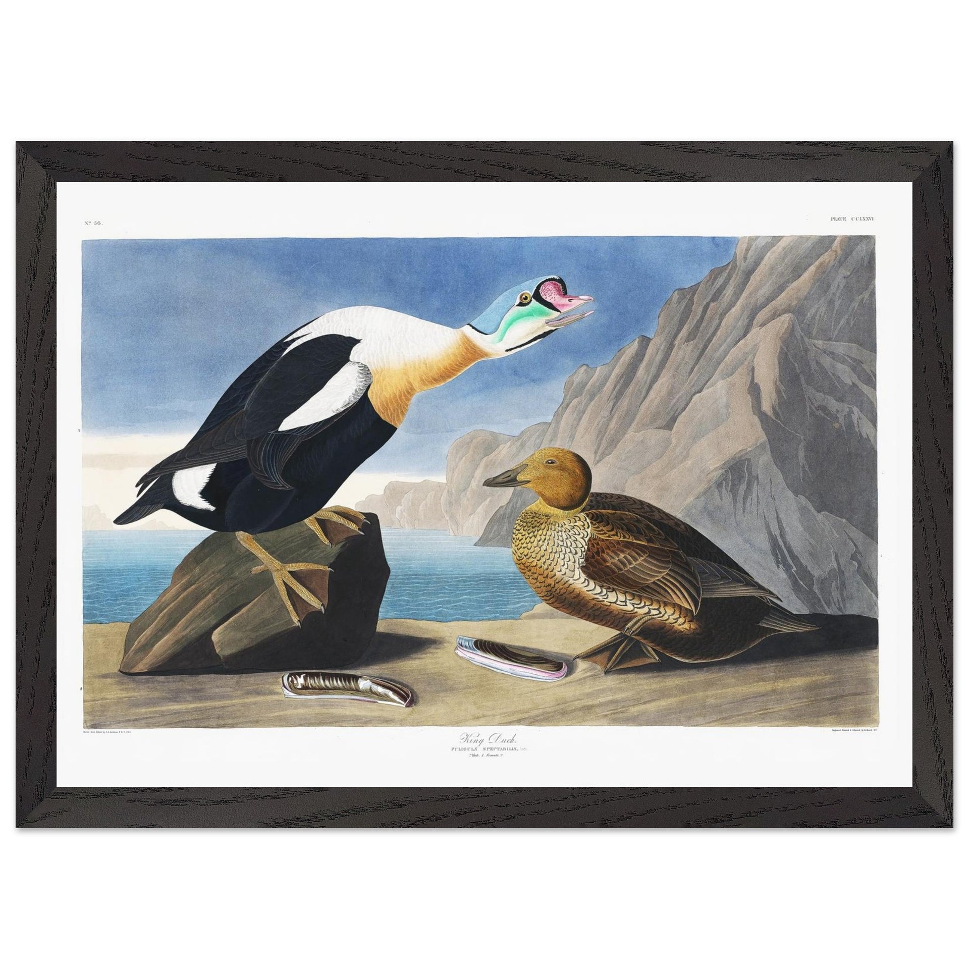 b7b86150-0950-4b38-a28e-b29477483cd3