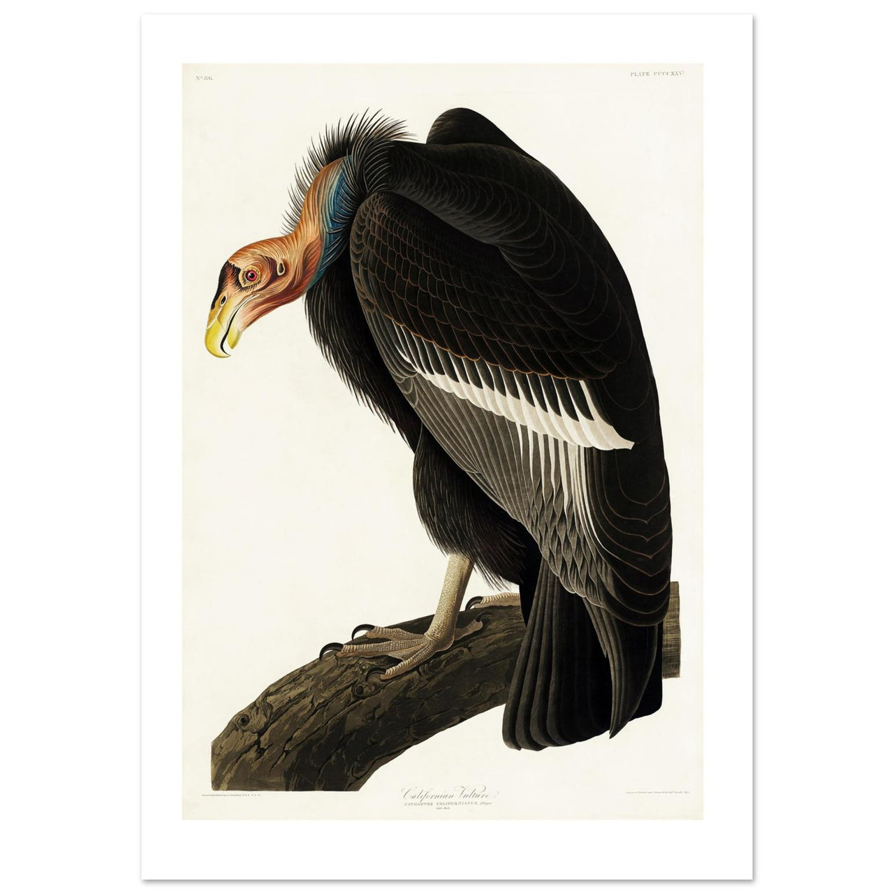 ba3ceec0-9ea9-475b-b1c7-750521a41b52