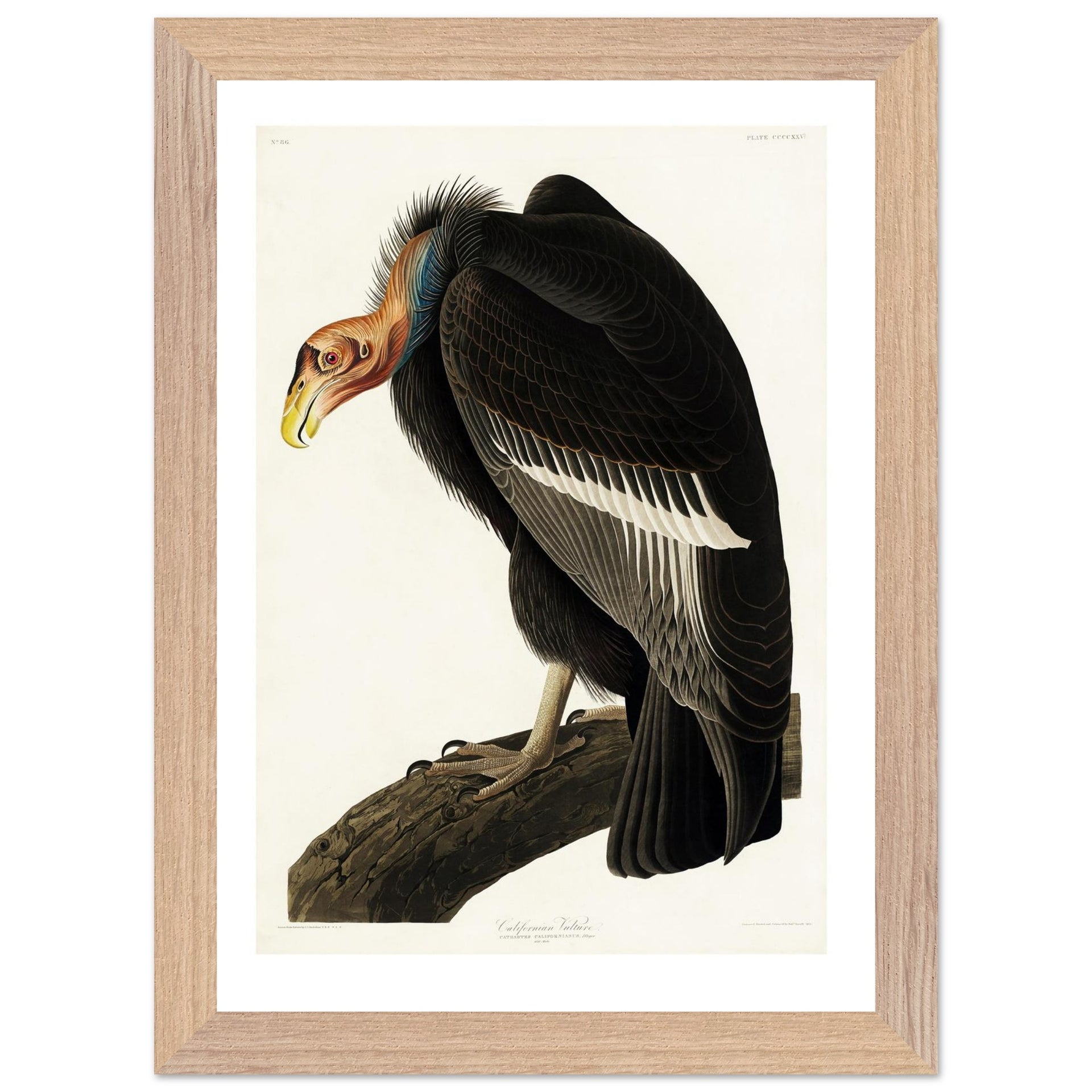 ba79f8be-da2f-4058-b4d6-fb18edccbac3