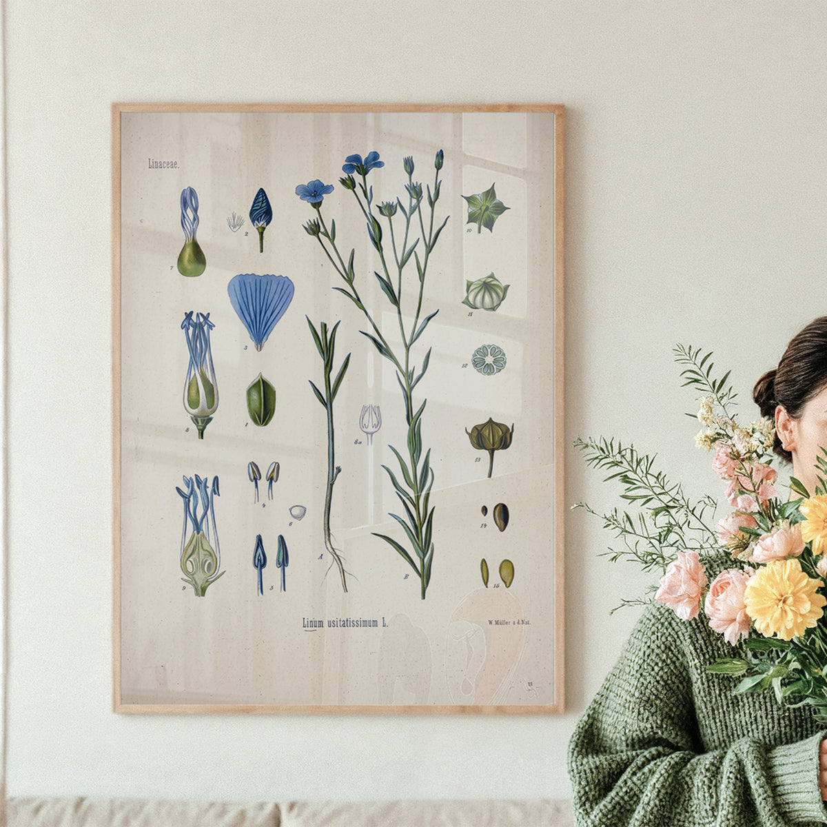 Blue Flax Botanical Print | Vintage Botanical Illustration