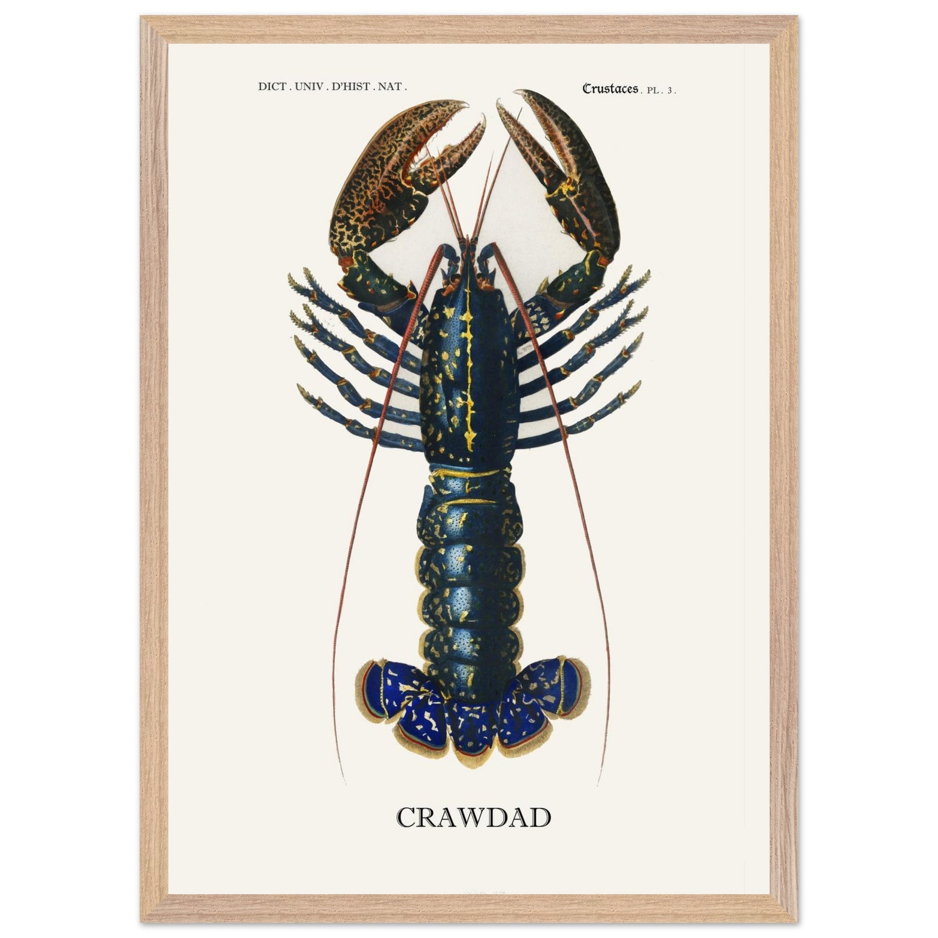 c24f6c38-fea1-49b6-acc3-3c07fa5fa9ee