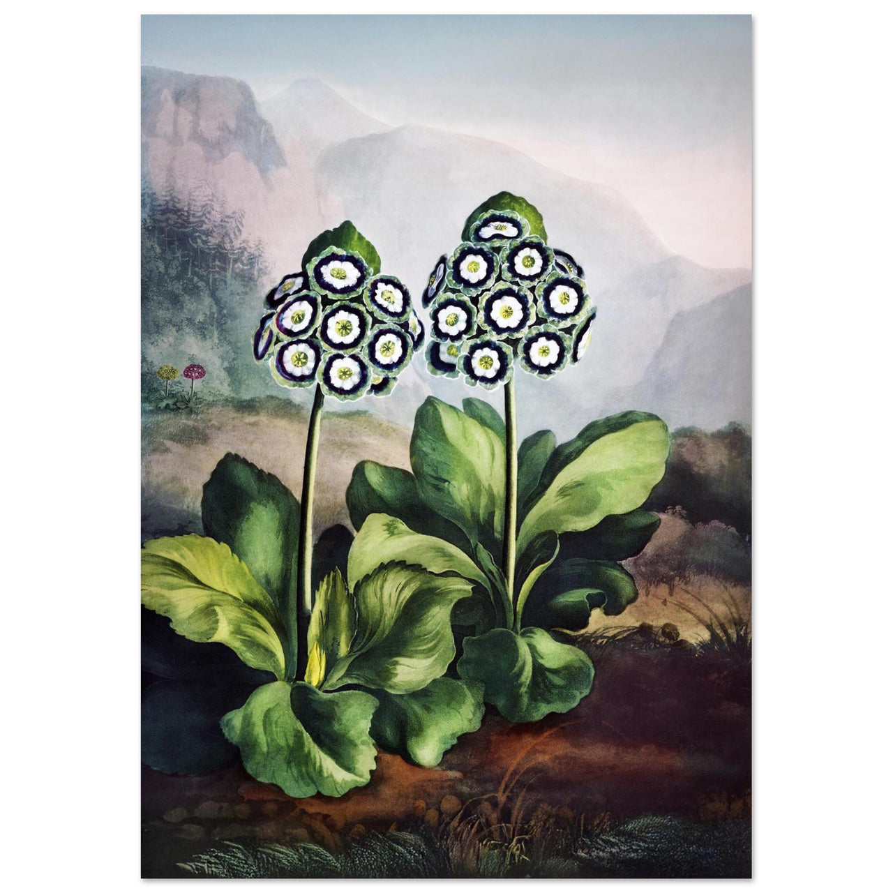 c6dbdede-c00d-48da-b8e9-ced099364120