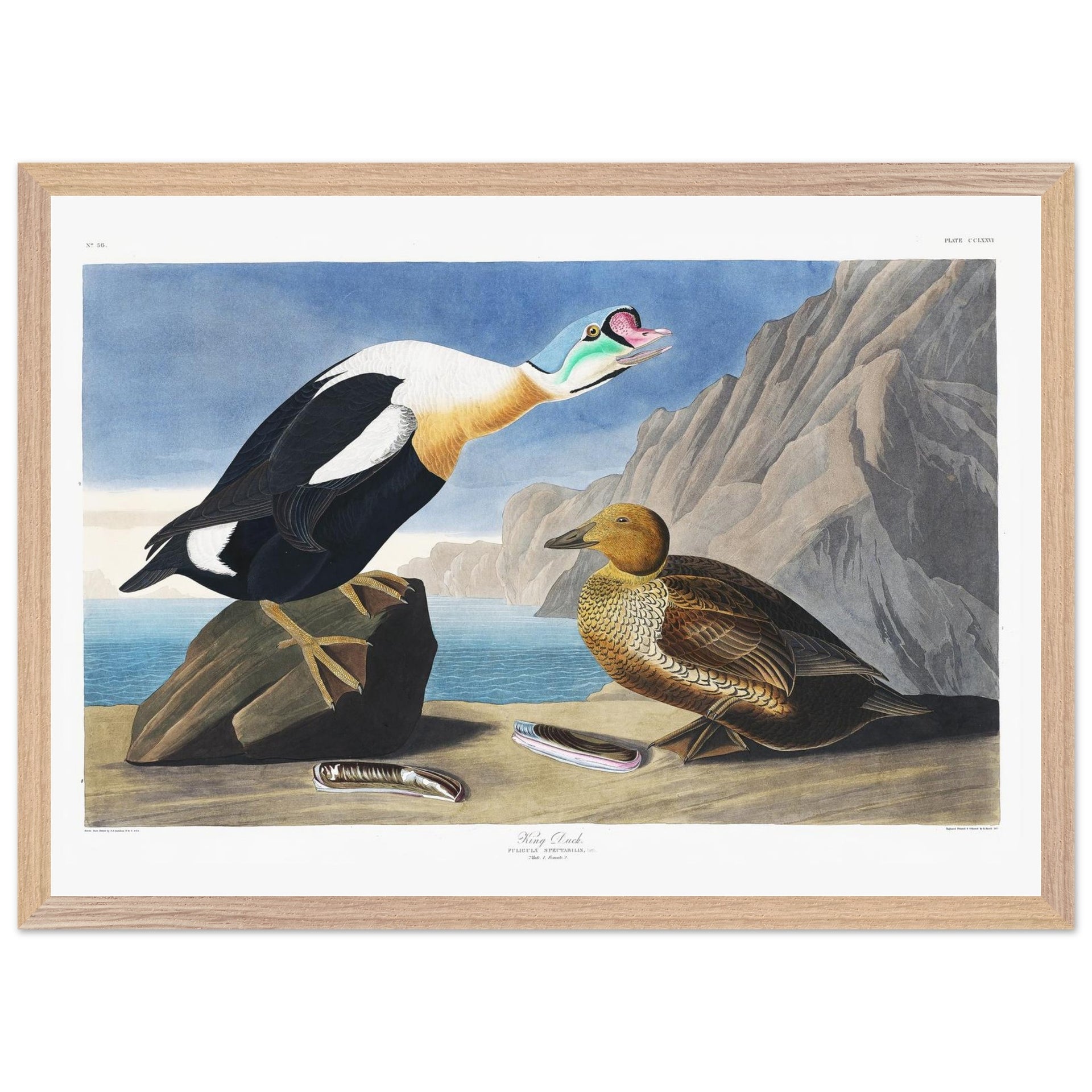 c7690872-baba-45e4-b5dc-d6f53f278a32