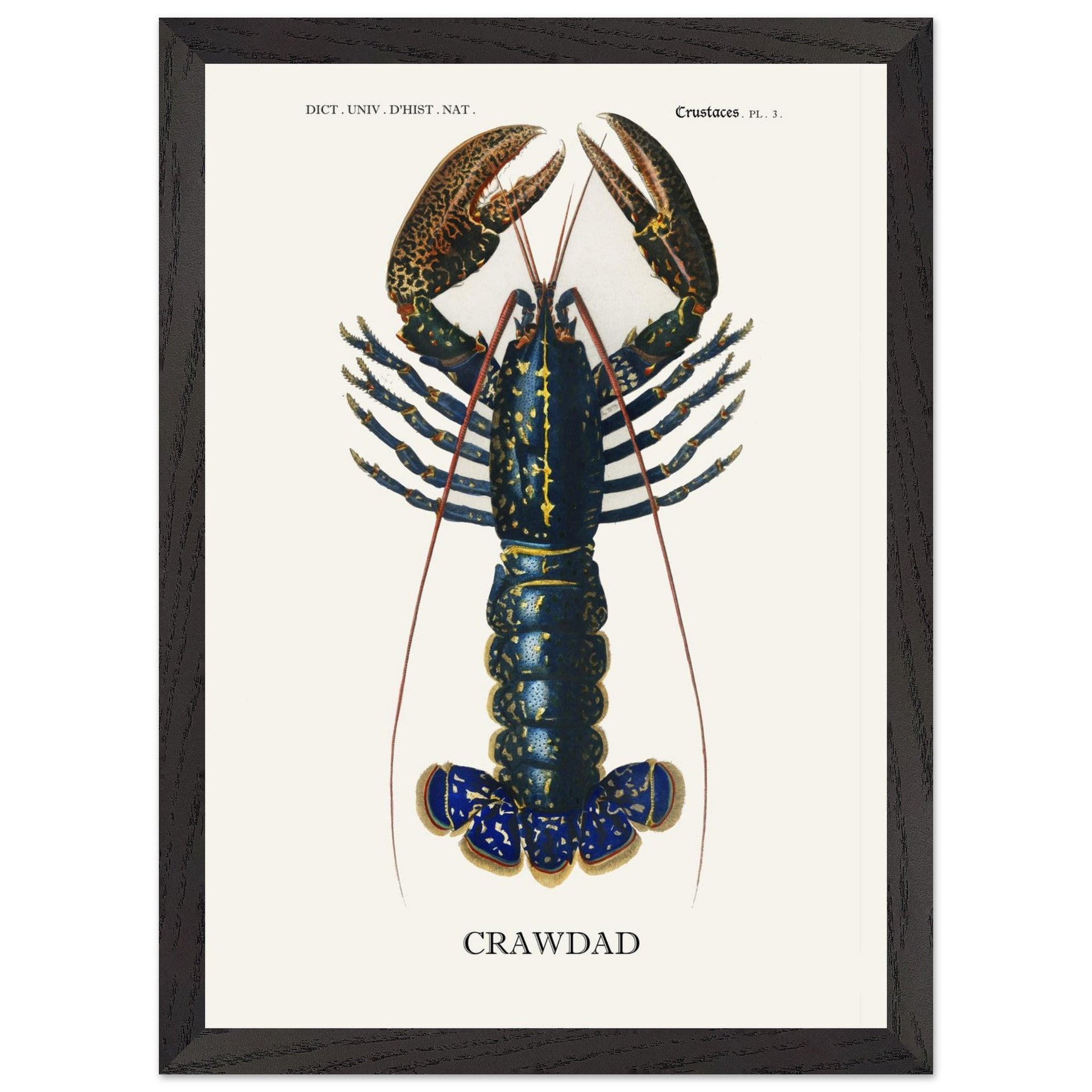 ca298b78-0f72-4c62-bdae-74e3b67f9228