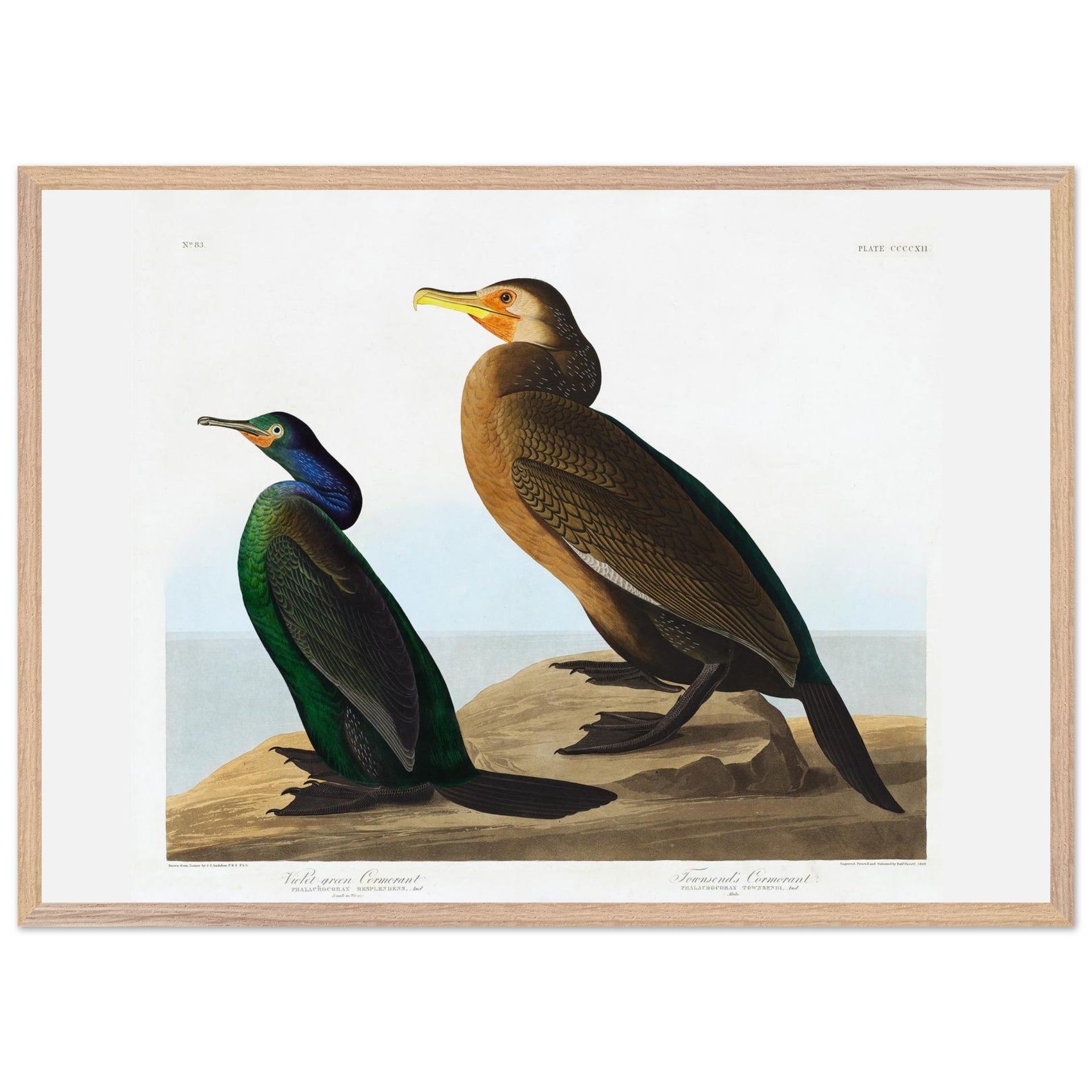 cbab1629-704f-4e39-b87b-ec23b025c3c9