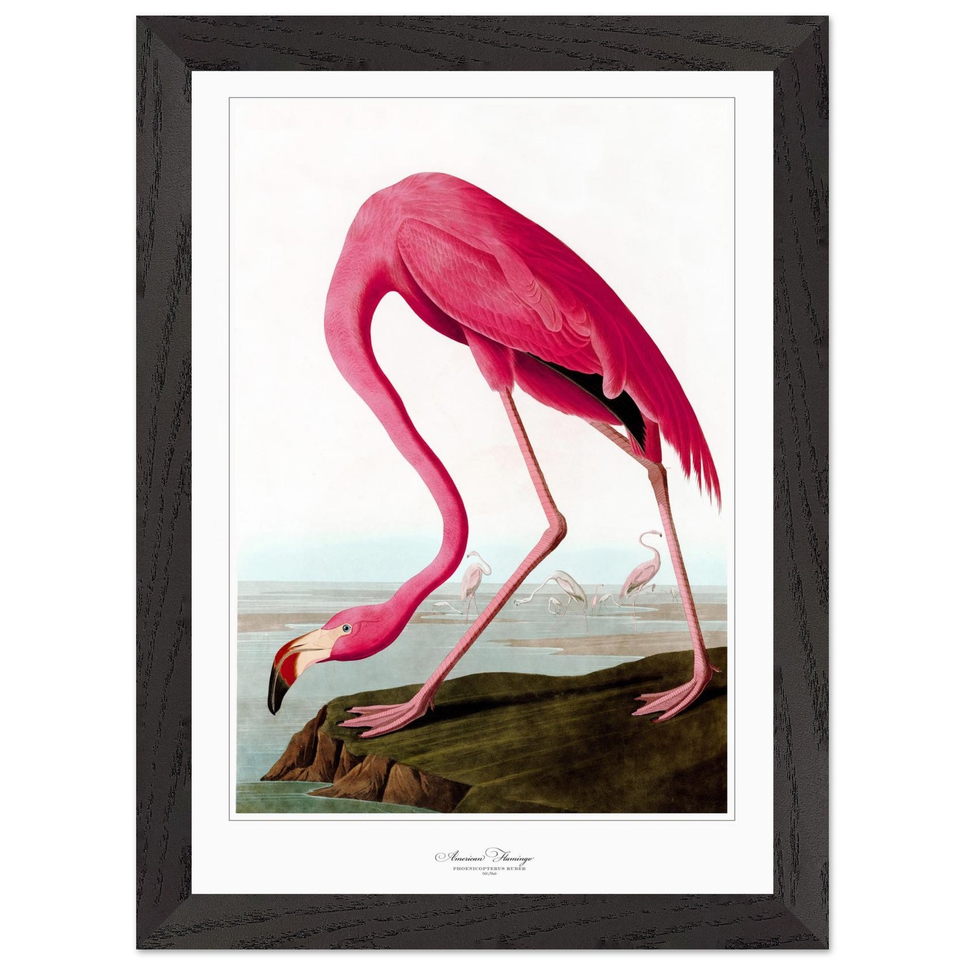 cde4539c-9a5a-4b22-8421-ba30d6dda845