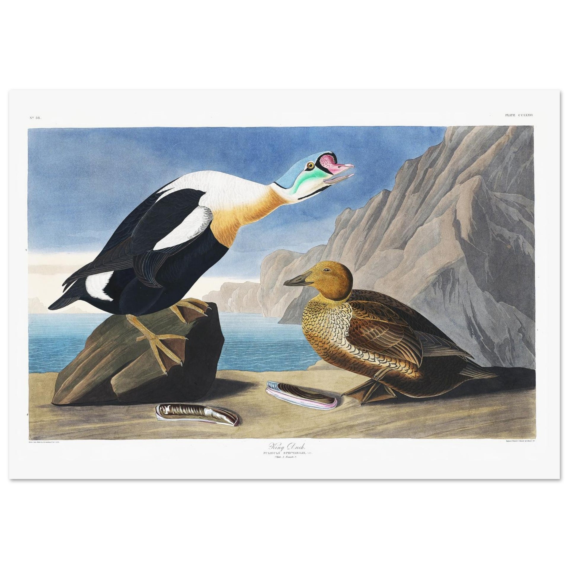 d36cdd16-39cf-4fb9-8d79-1f784ce27269