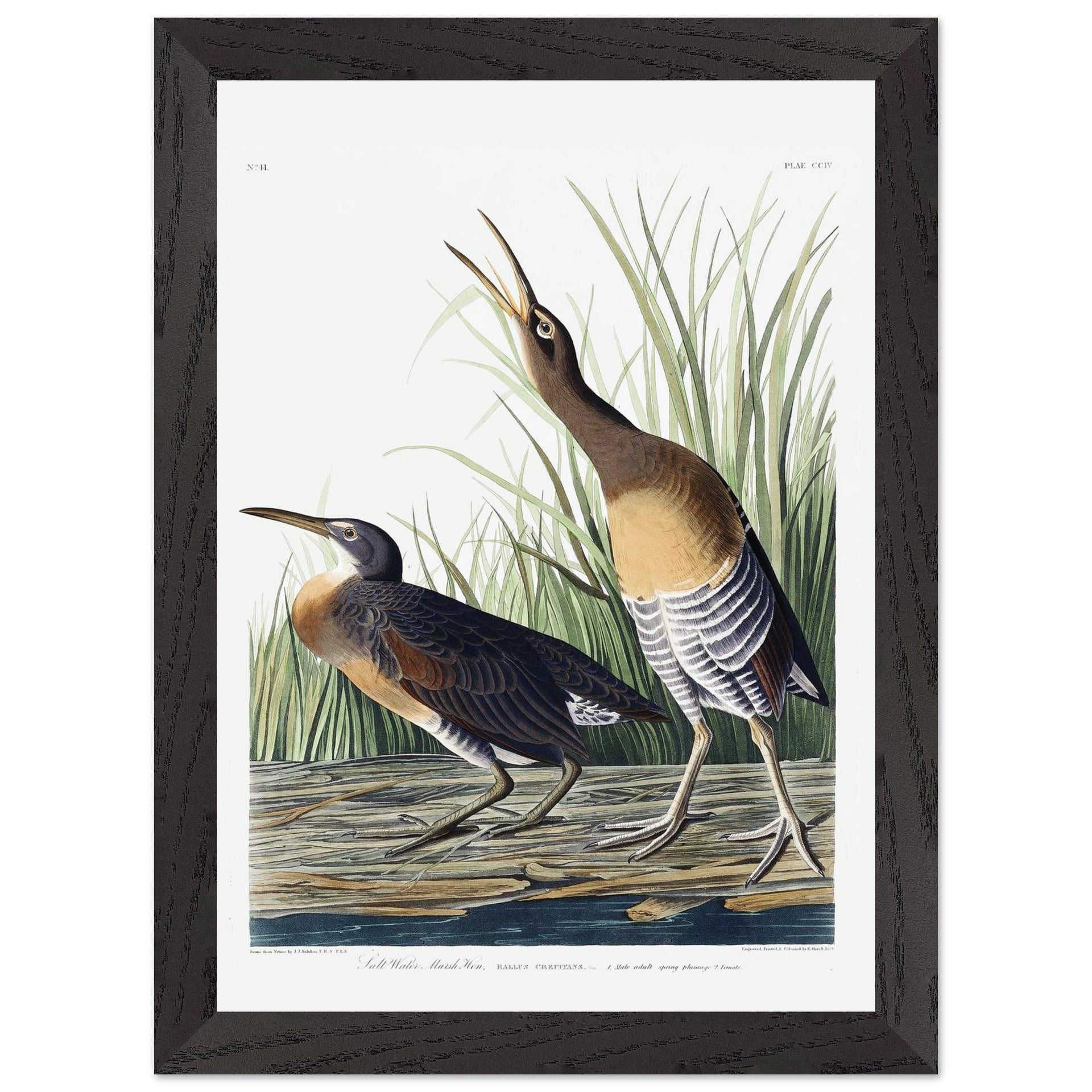 d8e992a4-c4f5-4cb8-b87a-2e211ddec4a7