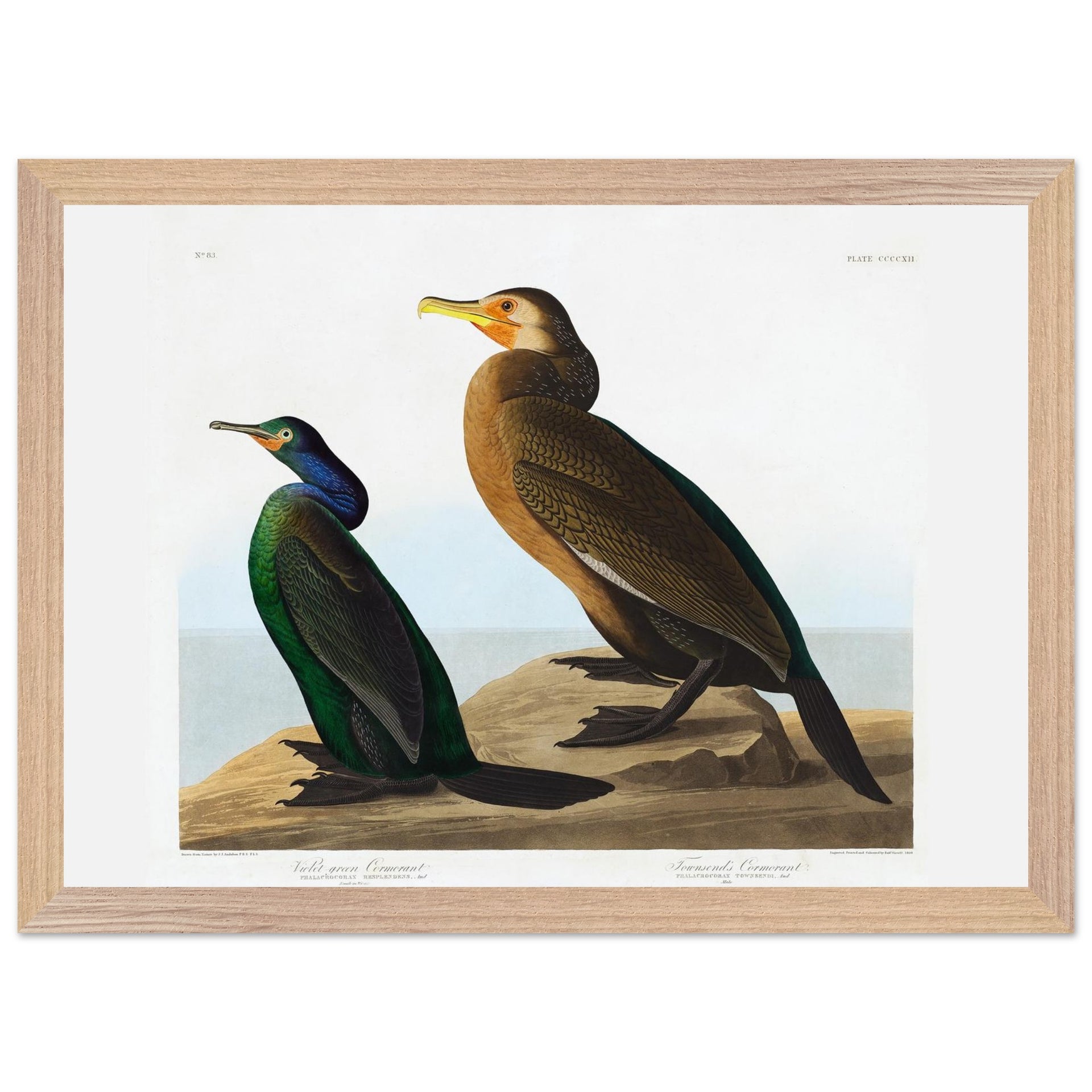 db97a8b4-d474-44c1-9f7b-4827490a55b3