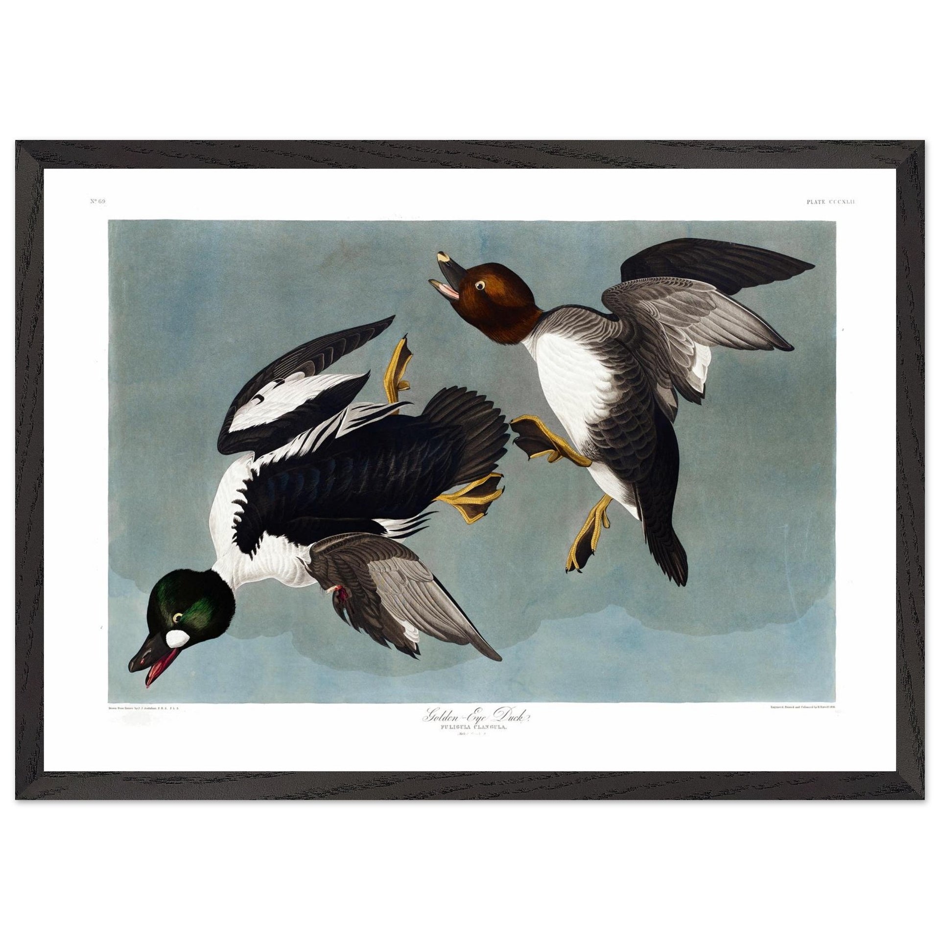 dbfd7630-a8e7-4169-af03-7c0f6665d25a