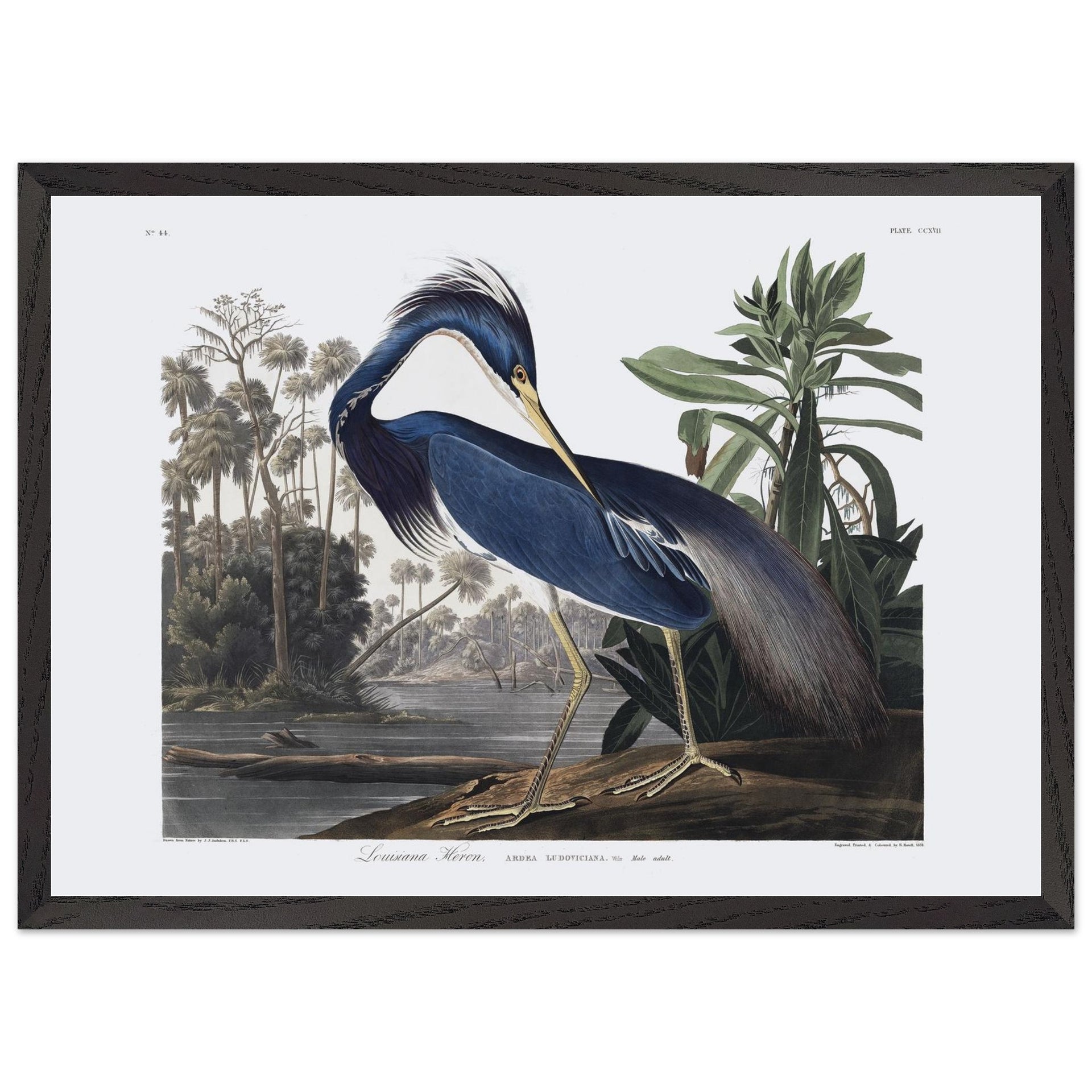 e0f40689-6e5b-4412-bdcc-bdff7f750312