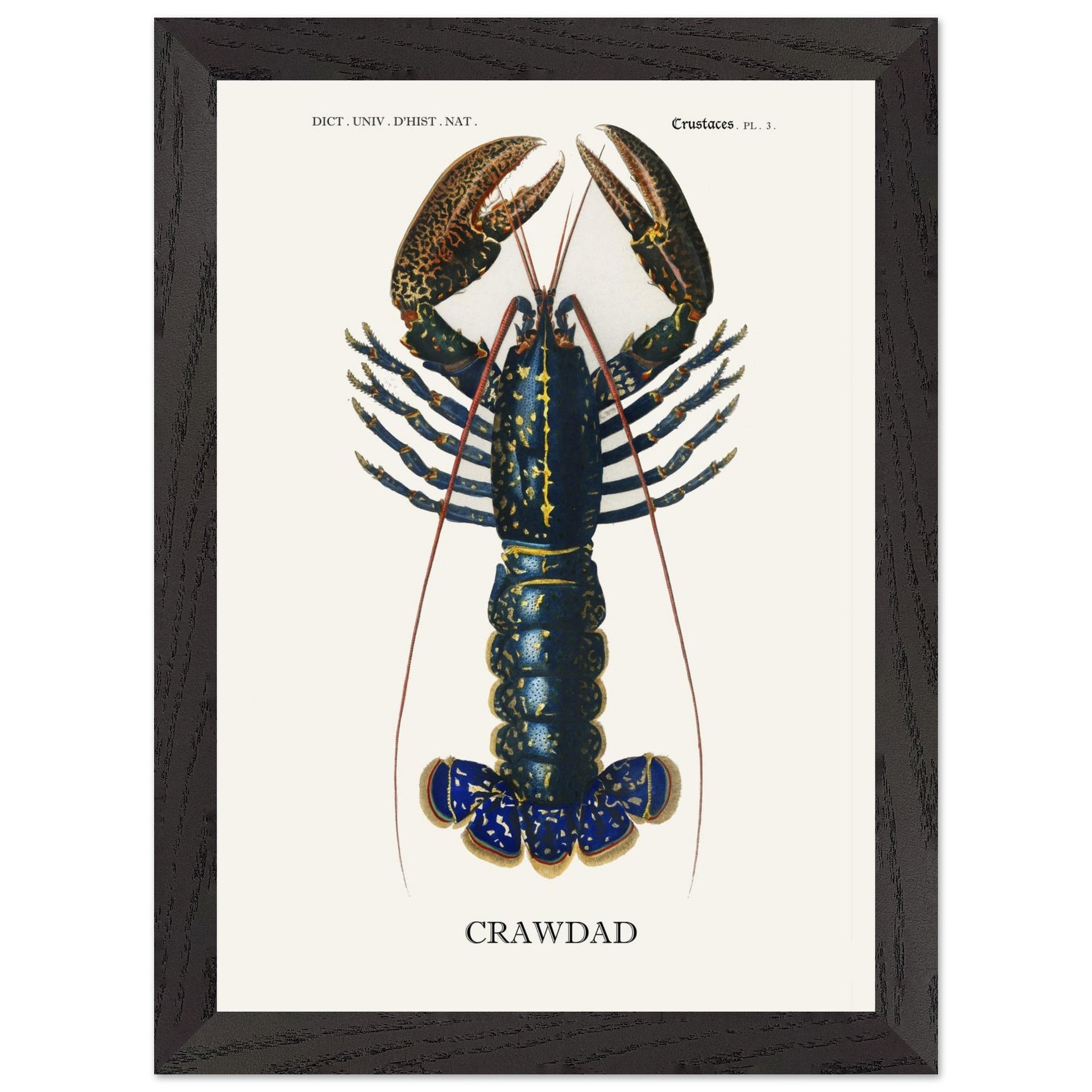 e361da28-9d78-41a2-b120-5ccd42db36e6