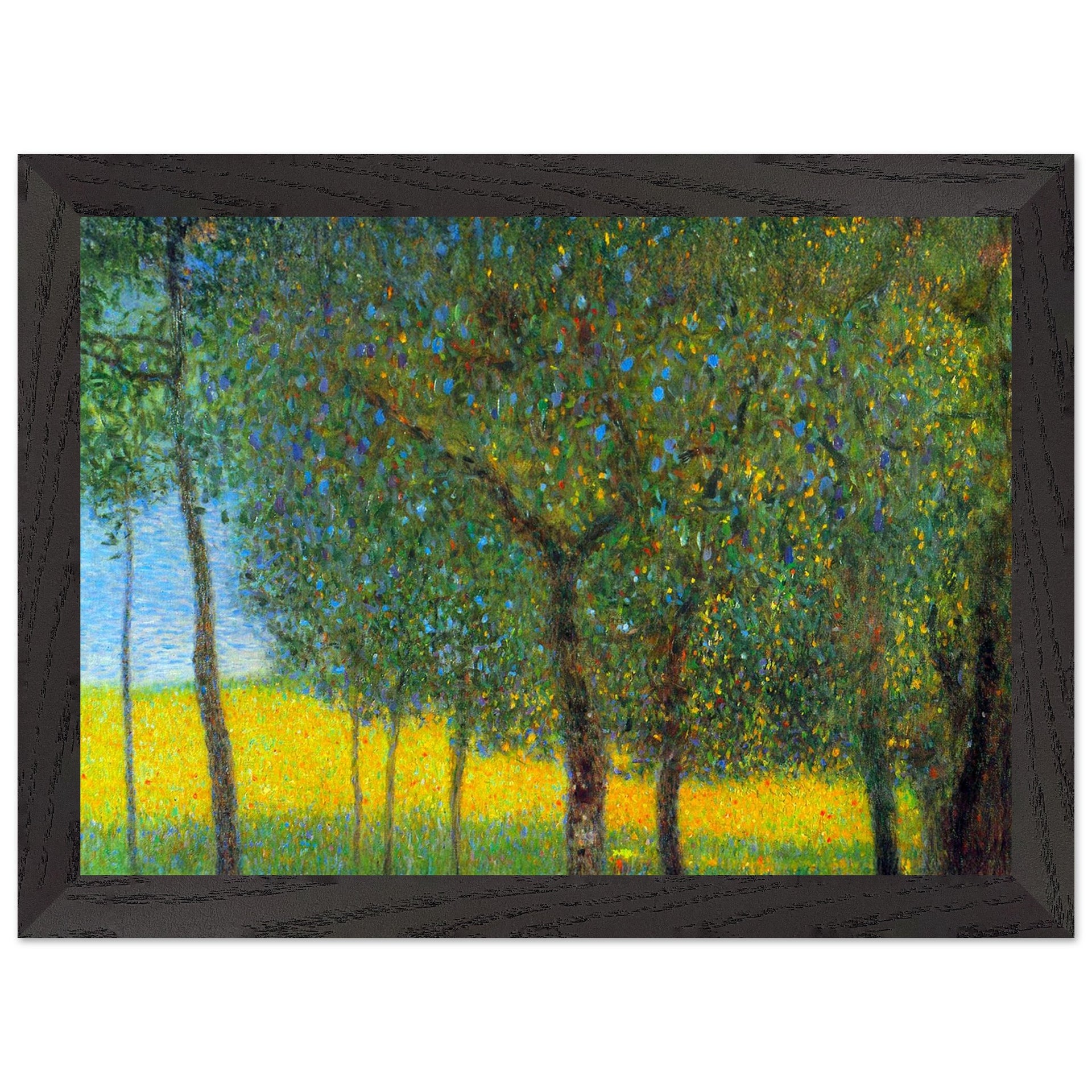 e50acef5-cf5a-48af-b045-f6c88ea192f5