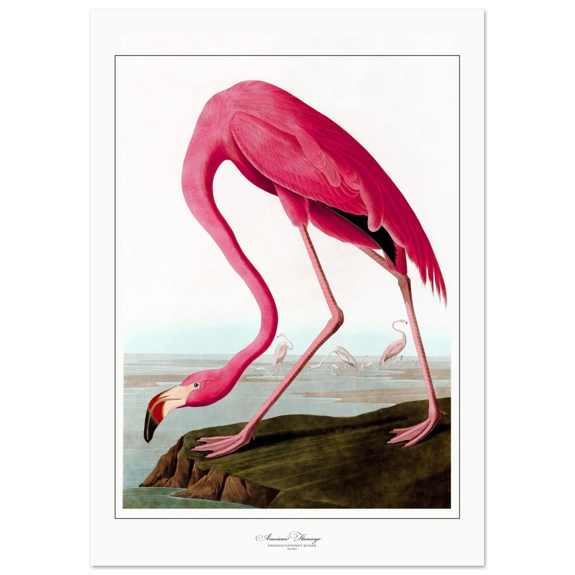 e86733ca-ee0c-4567-89c2-1817a2ef6a48