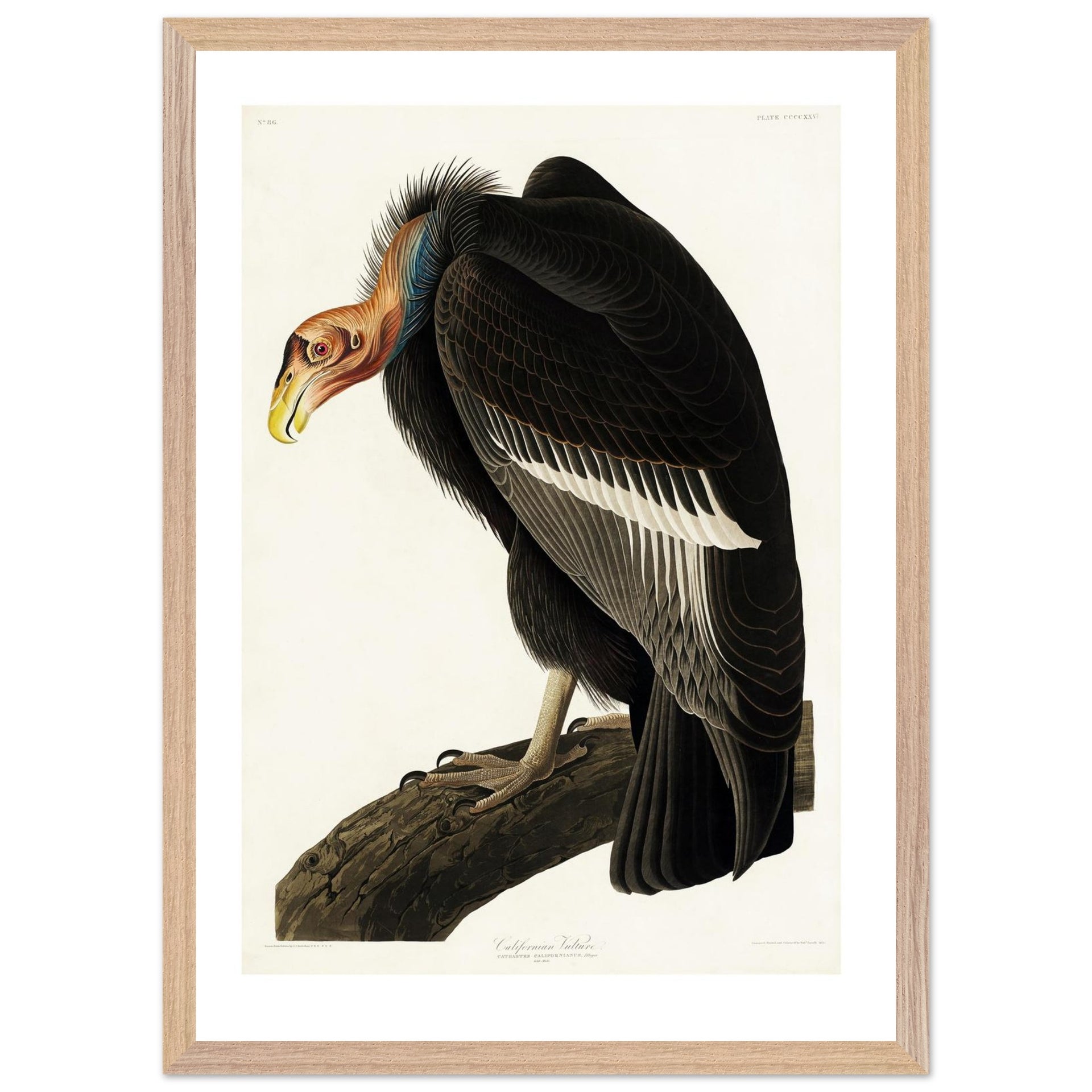 eb80c2ec-bd45-43fc-9b8b-65595e074888