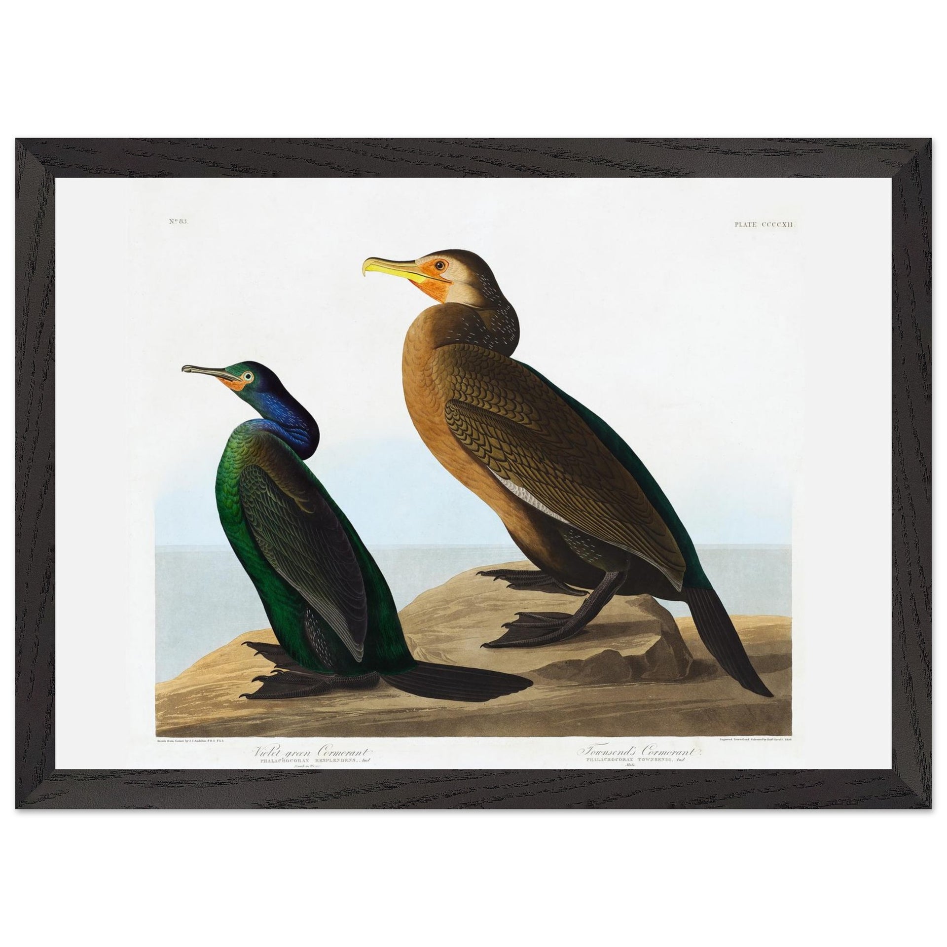 ee98356b-35f8-4e82-8eaa-ee137cedbbf7