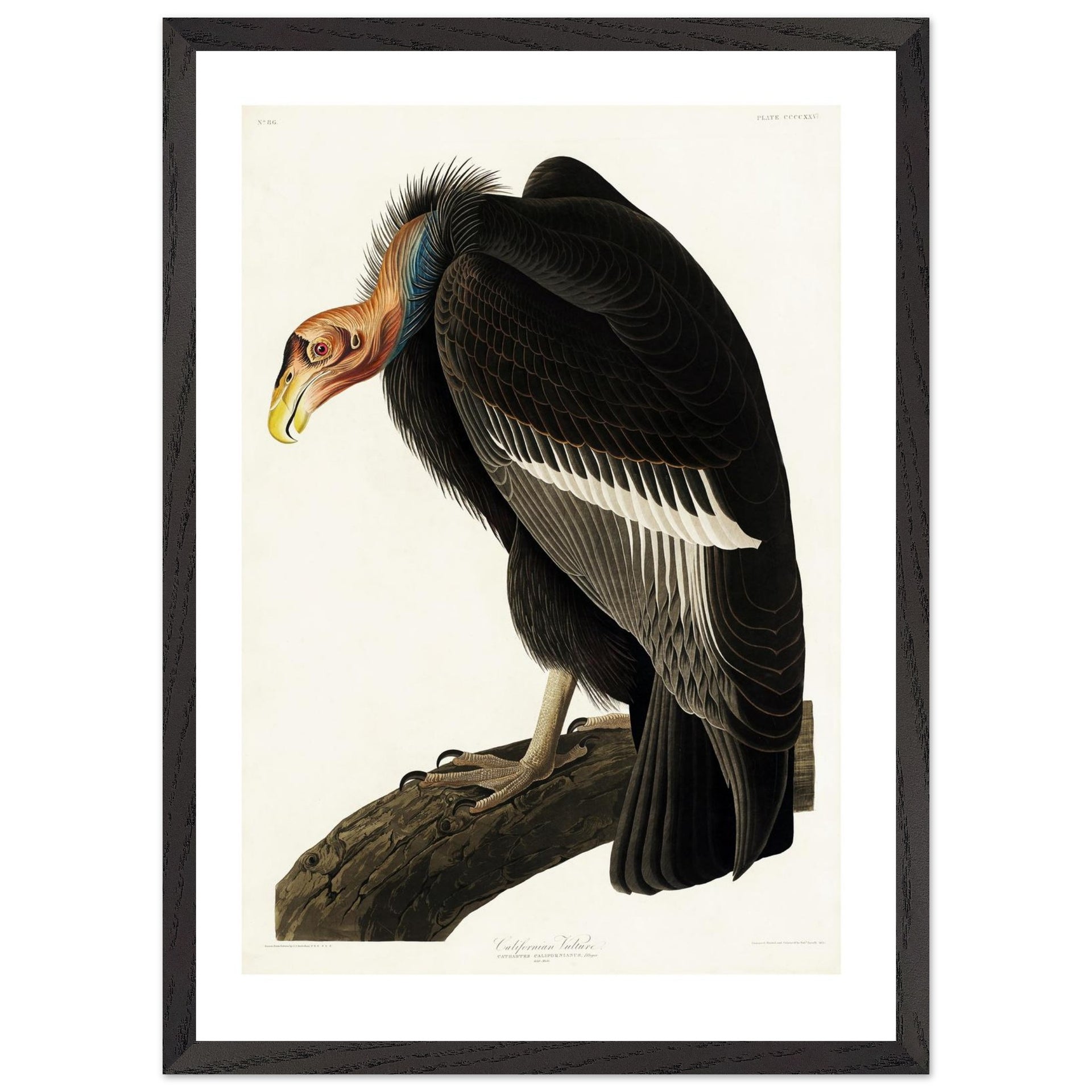 f1676122-ce11-477e-9662-862177a08b64