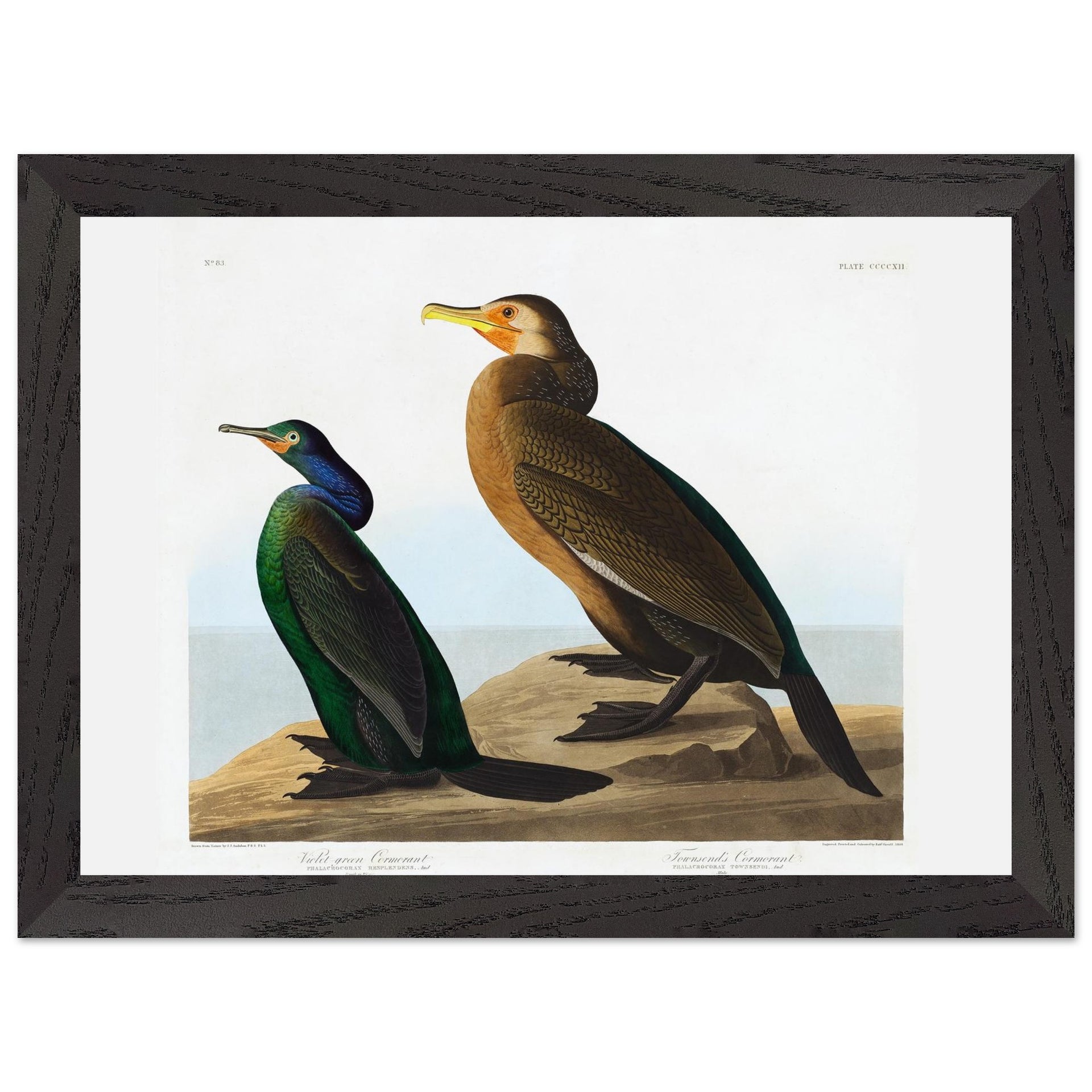 fa04fb25-8fa9-4661-a9f3-c55779e20b23