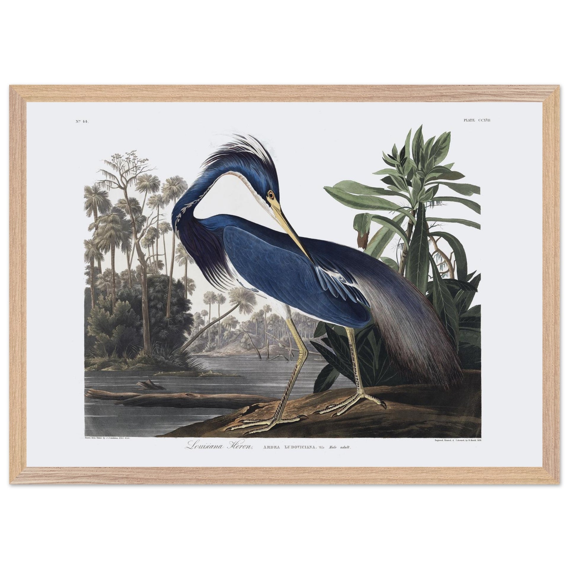 fa52afad-981f-4410-8939-a856479654ff