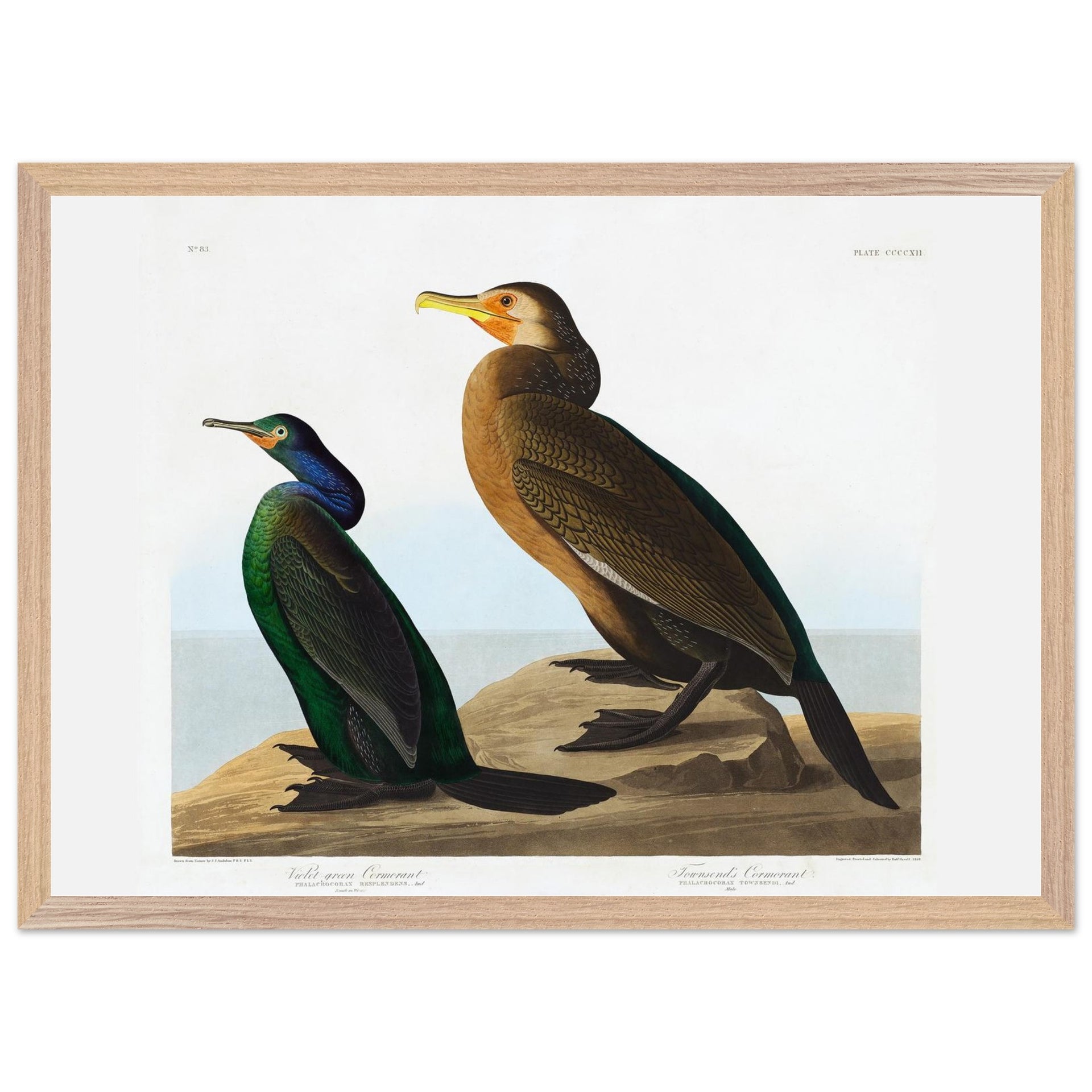 fafa6d69-dd72-4e43-9462-ed1b6625d482