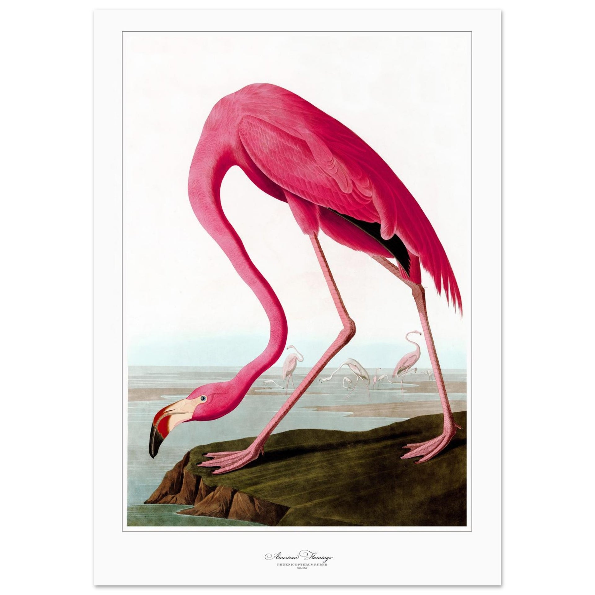 fb8f500a-a6a9-49c0-bda9-f0204e4b28d7