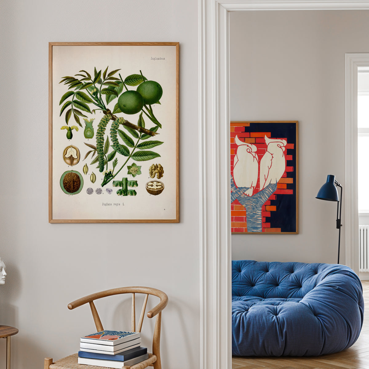 Walnut Botanical Print | Vintage Botanical Illustration