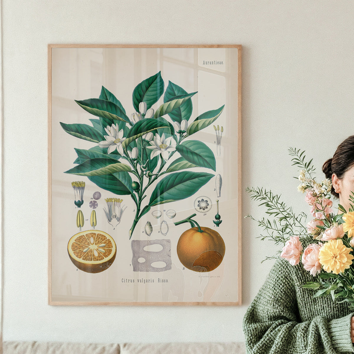 Orange Botanical Print | Vintage Botanical Illustration