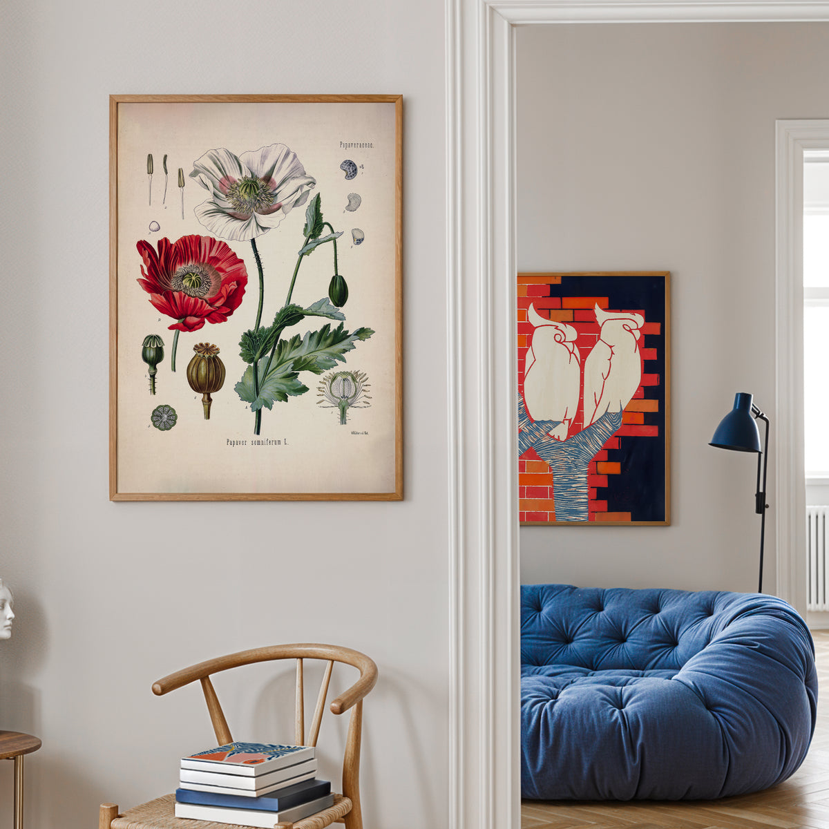 Red Poppy Botanical Print | Vintage Botanical Illustration